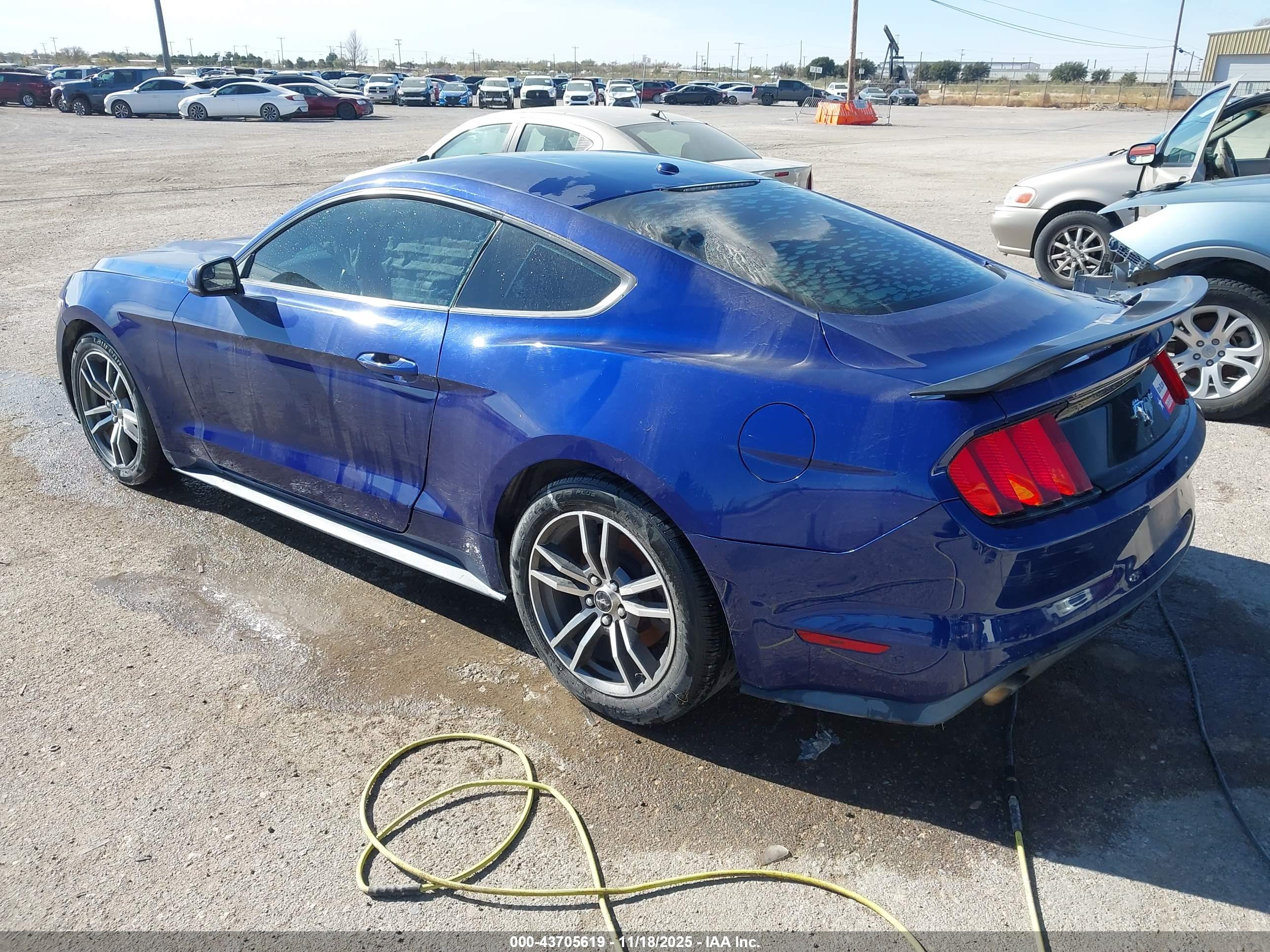 FORD MUSTANG image 3