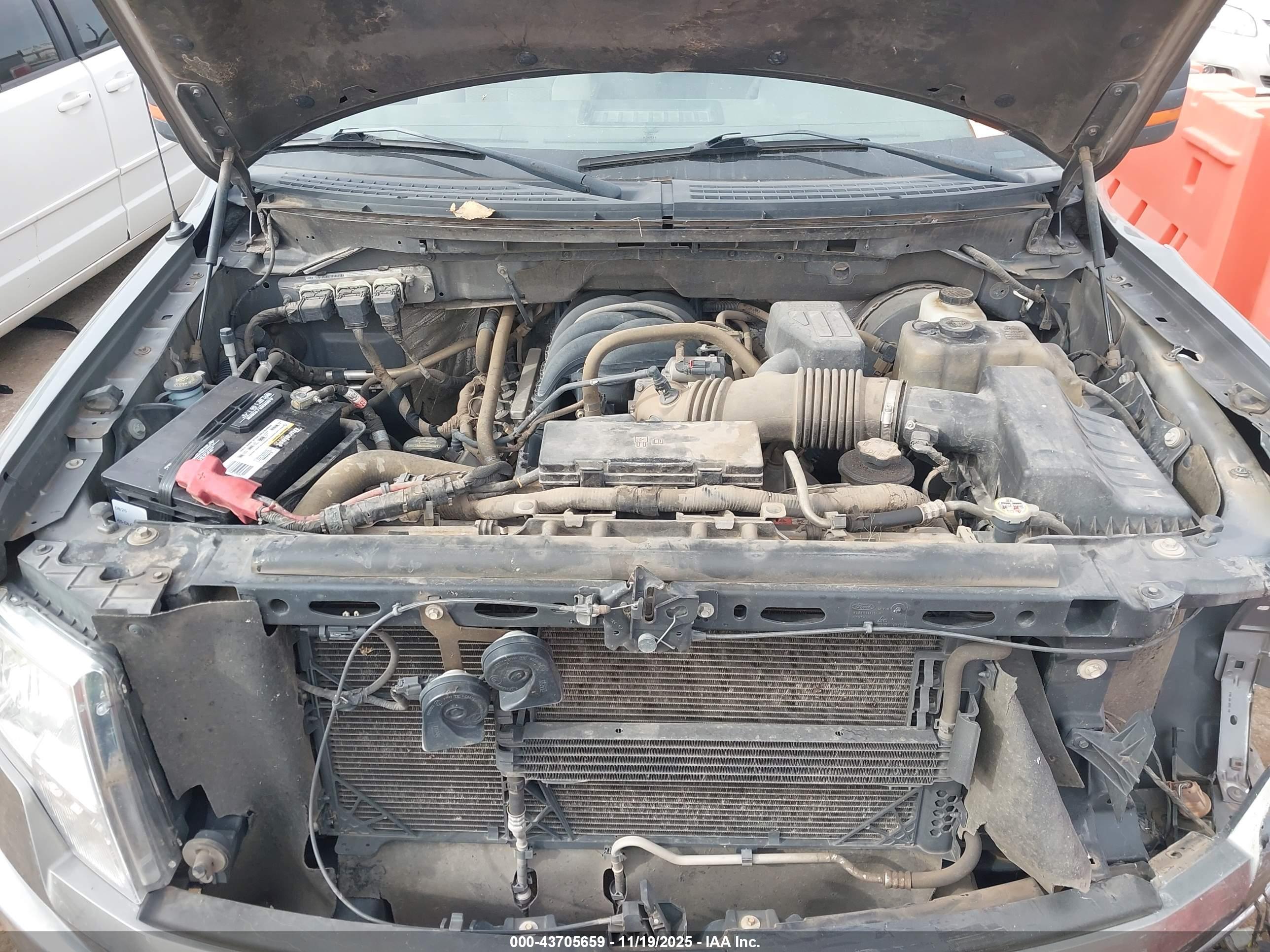FORD F-150 image 10