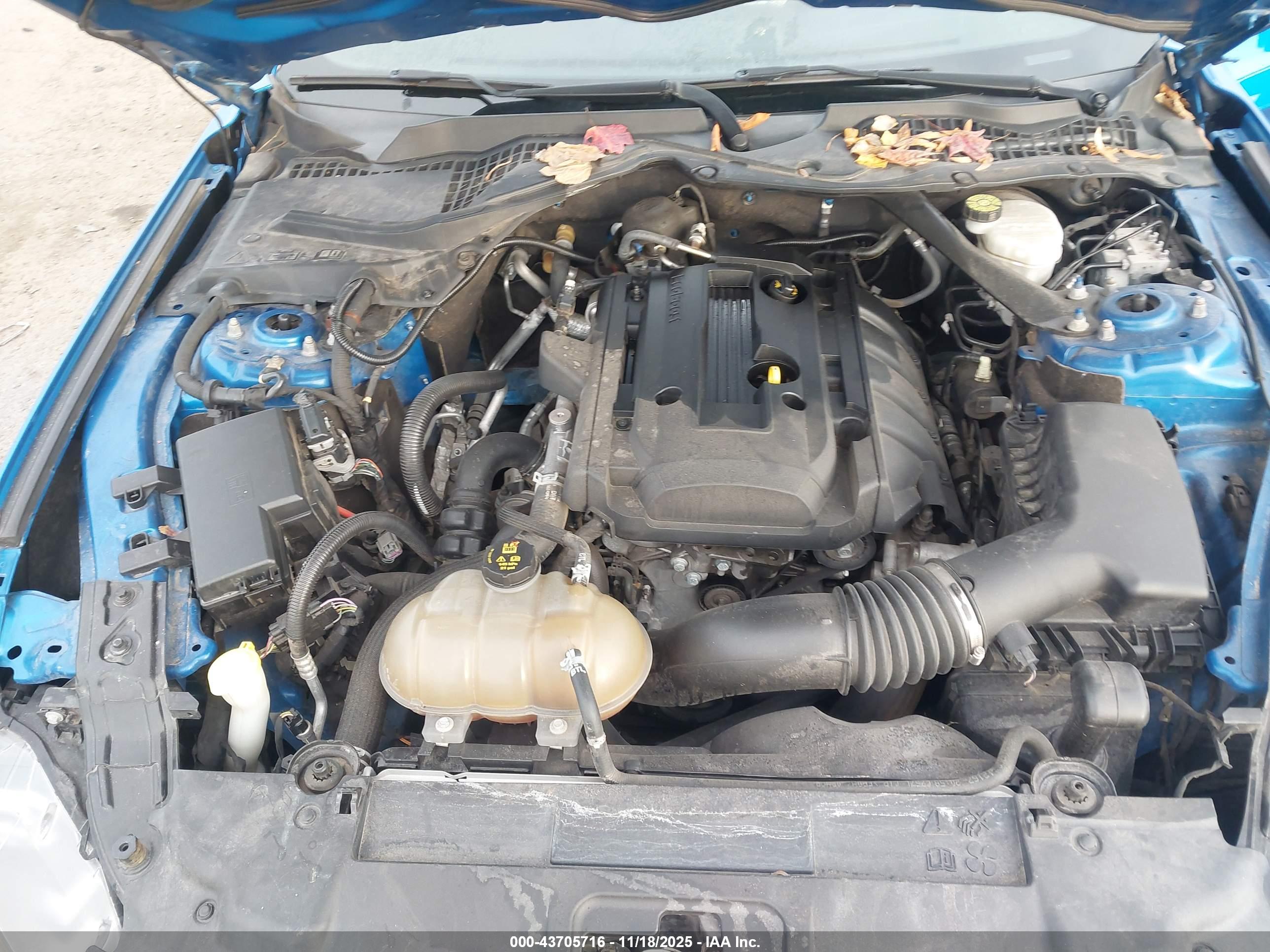 FORD MUSTANG image 10