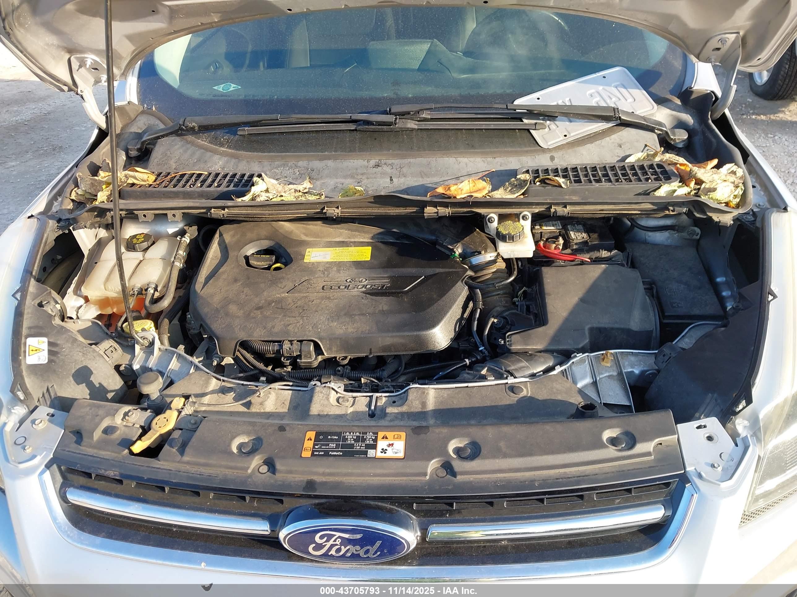 FORD ESCAPE image 10