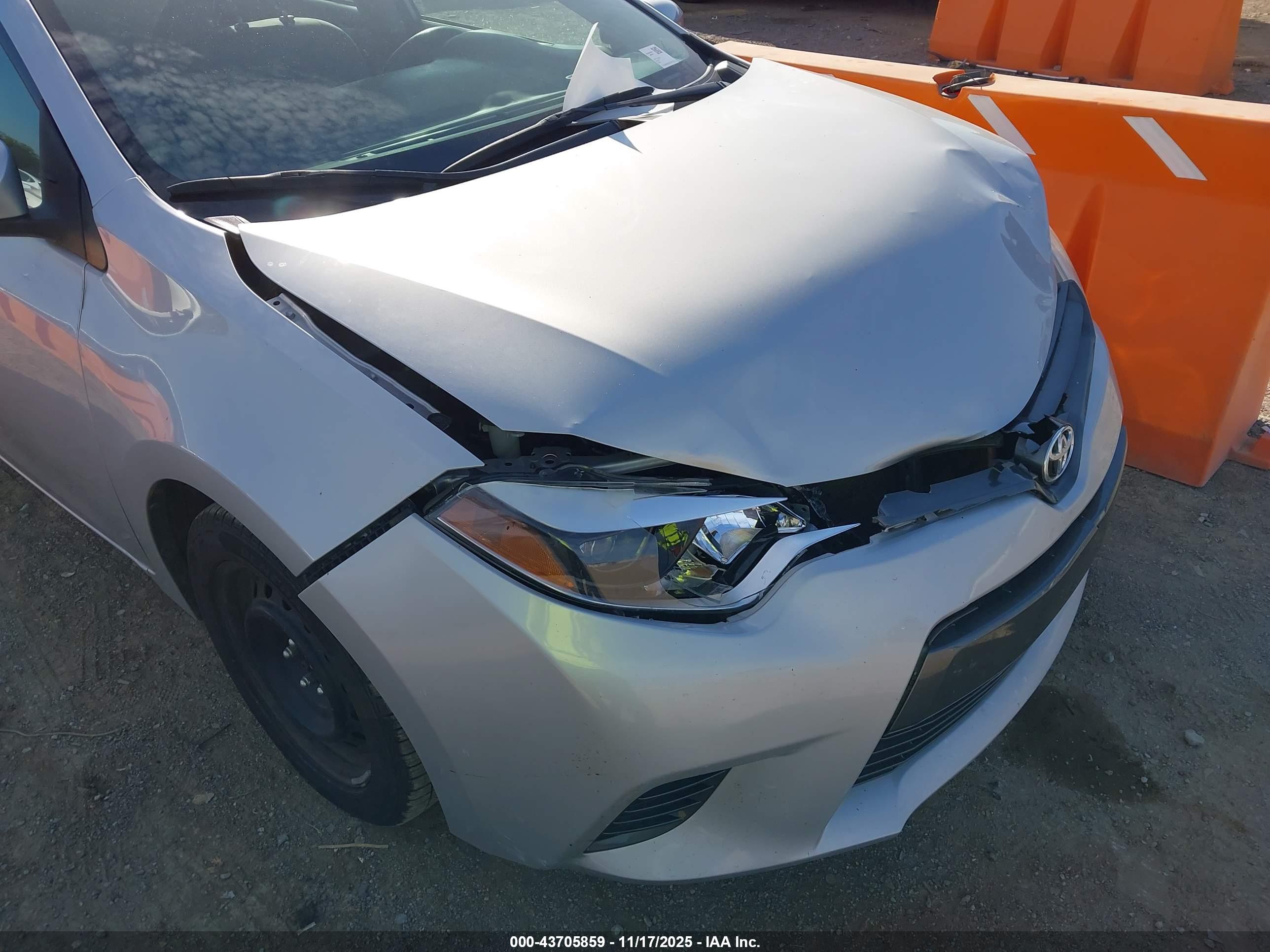 TOYOTA COROLLA image 6