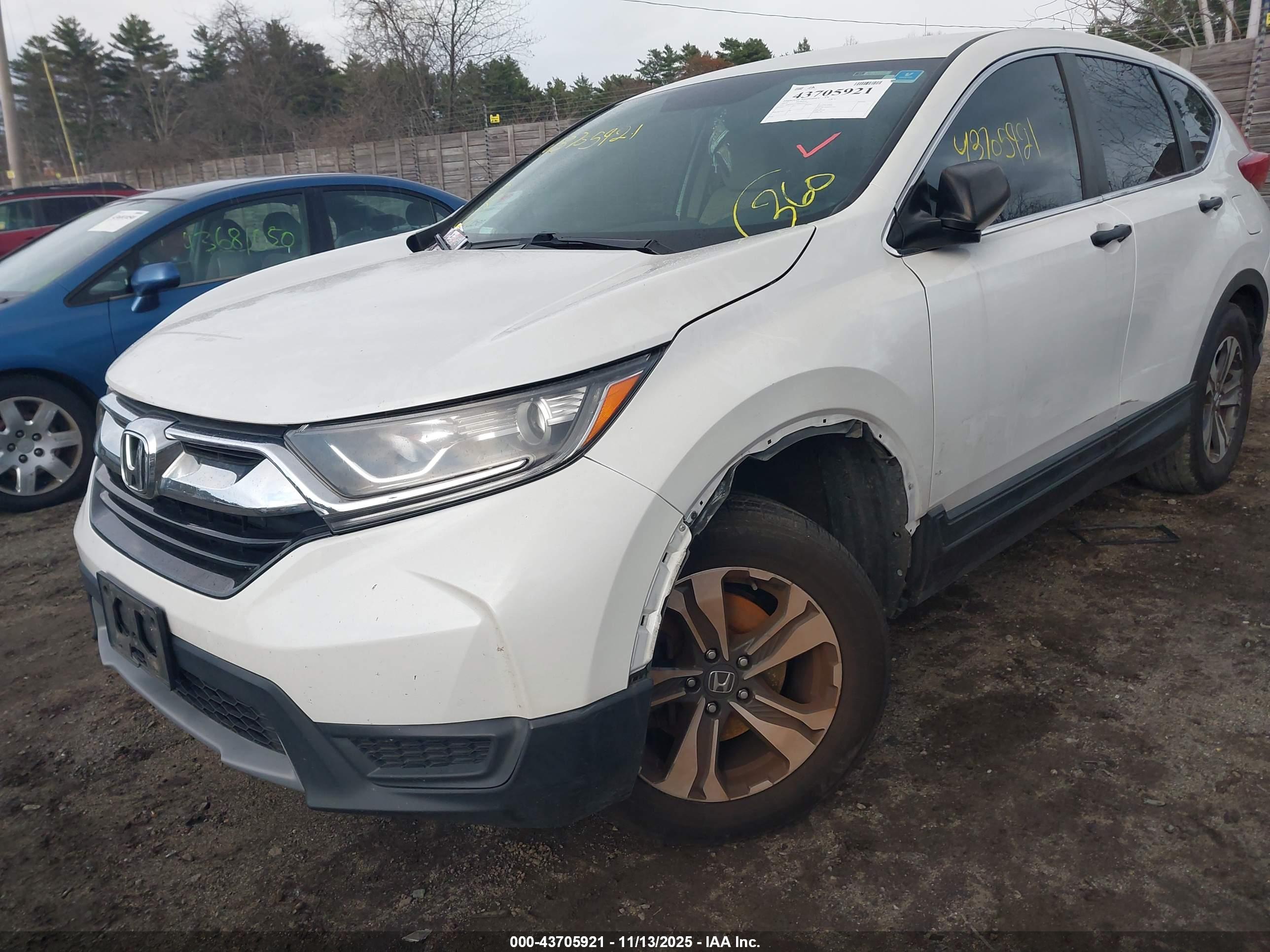 HONDA CR-V image 6