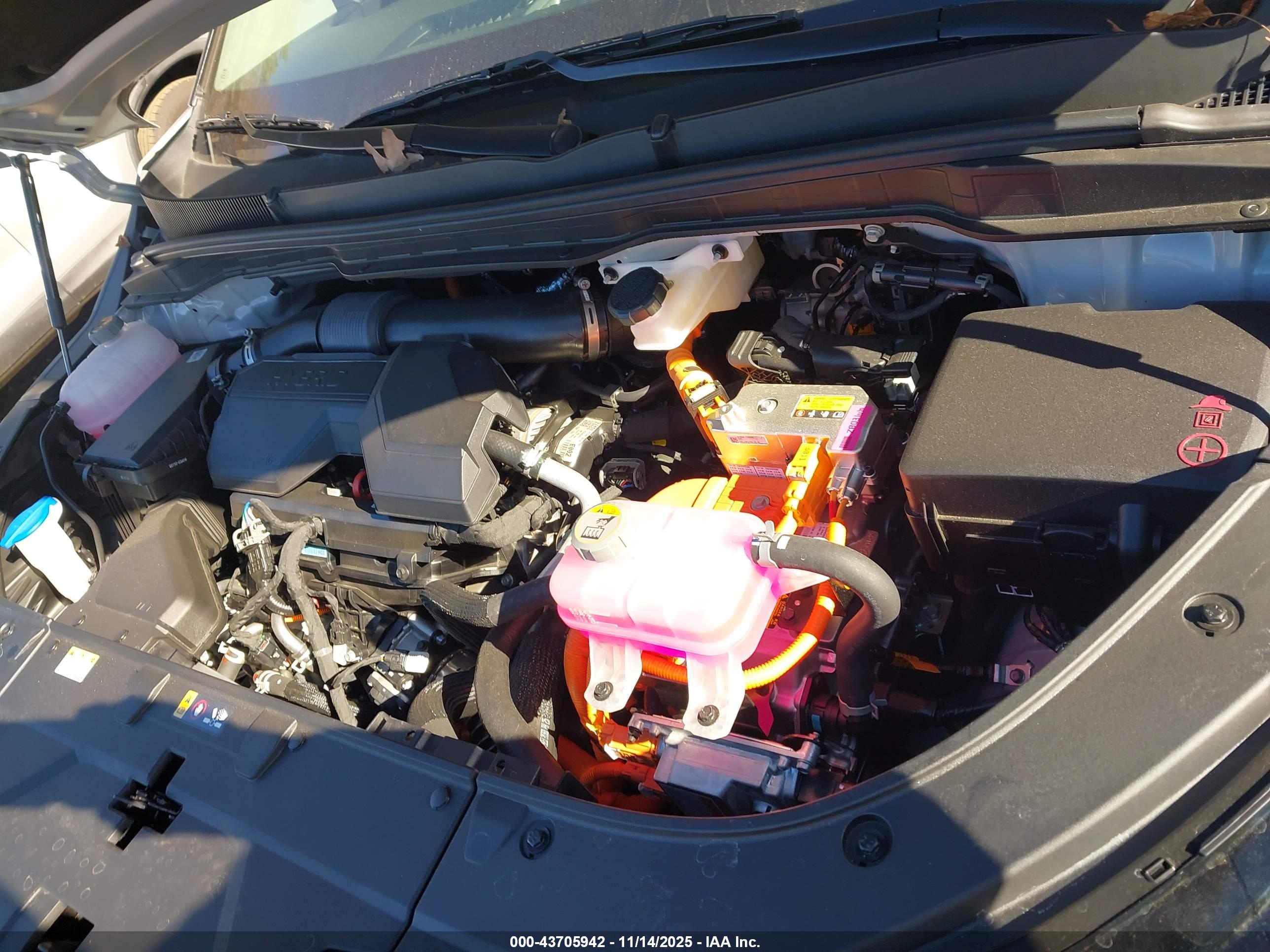 KIA CARNIVAL image 10
