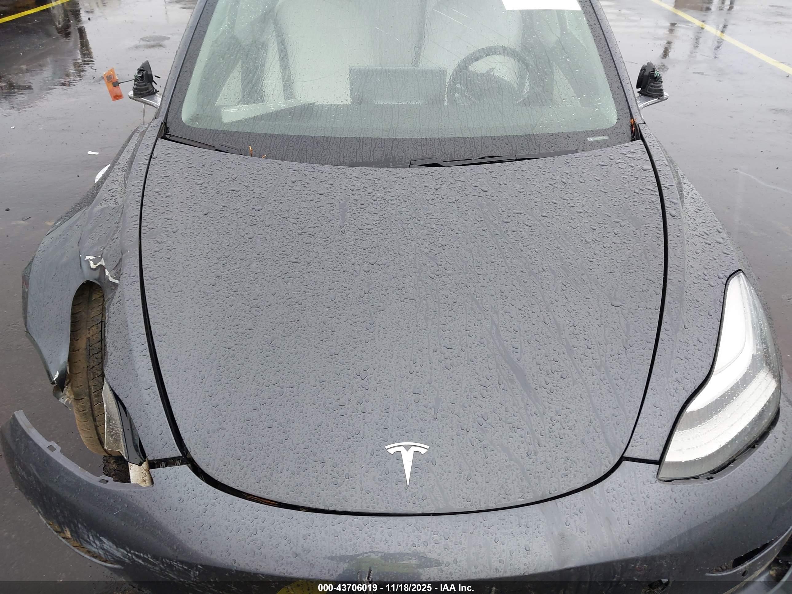 TESLA MODEL image 10