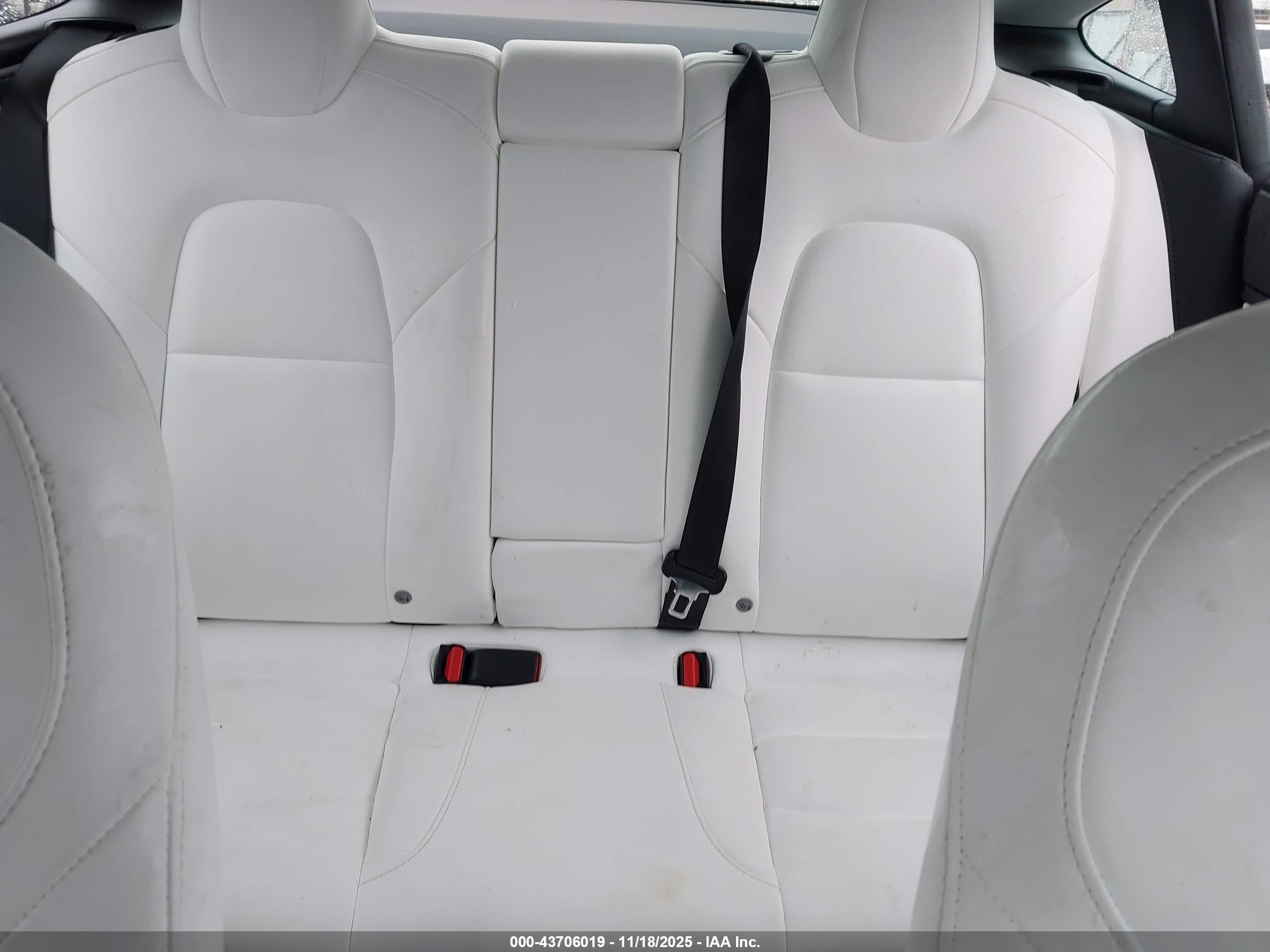TESLA MODEL image 8