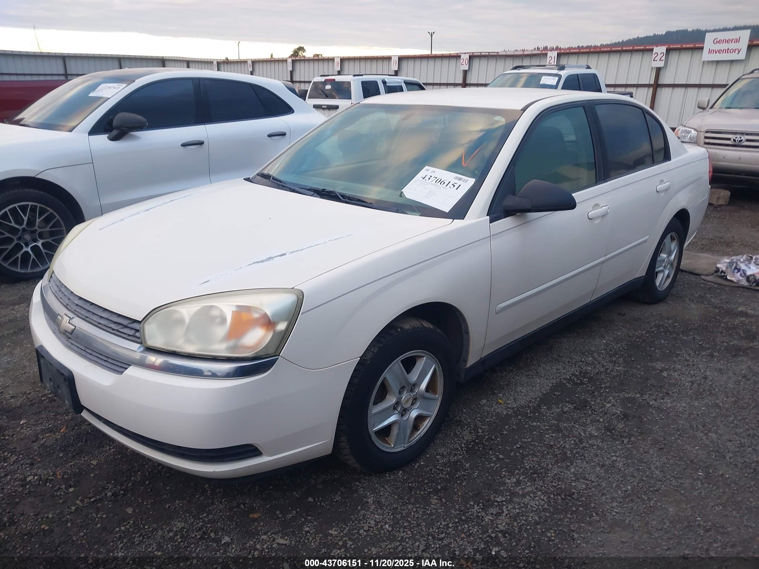 CHEVROLET MALIBU image 2