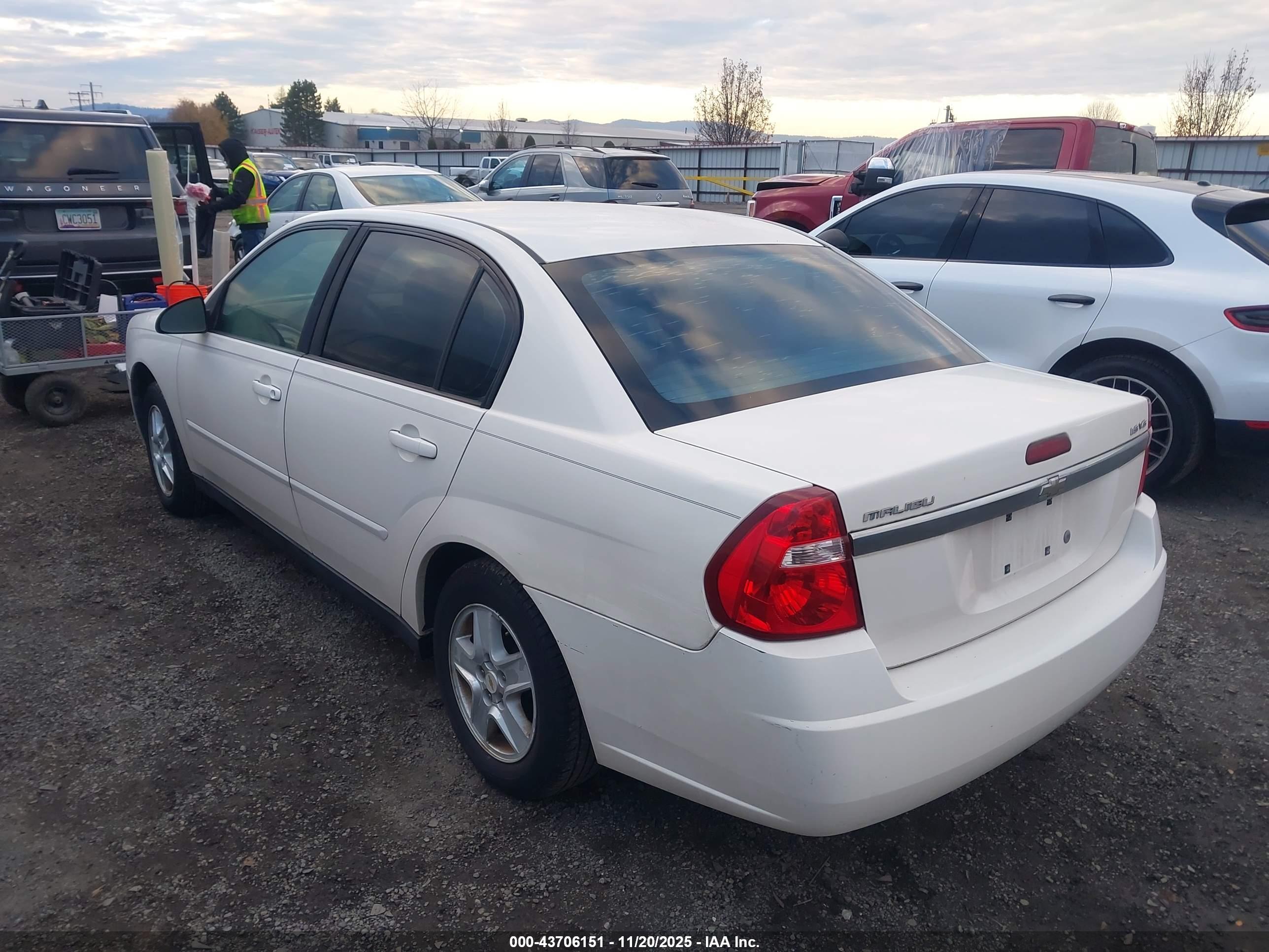 CHEVROLET MALIBU image 3