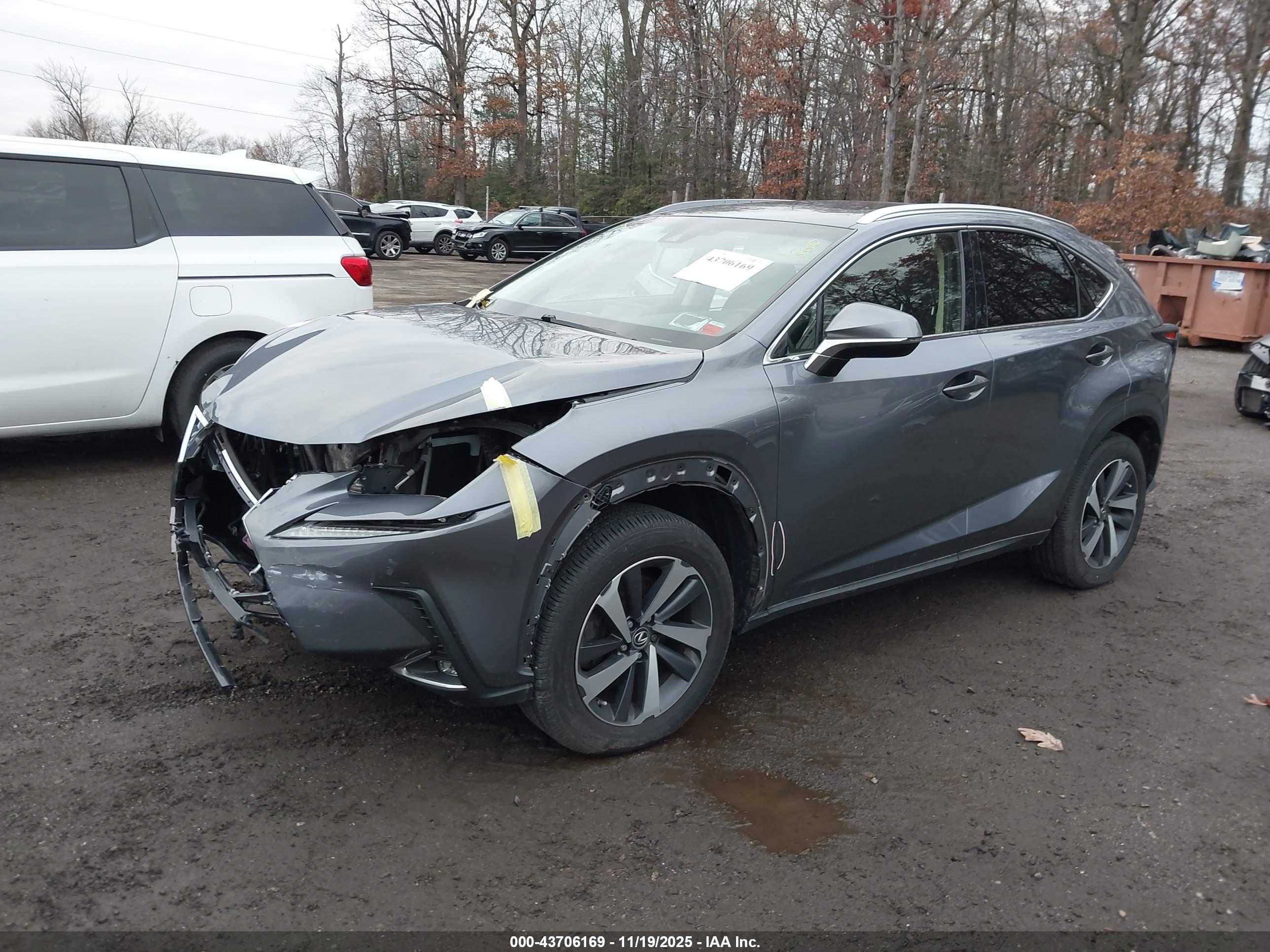LEXUS NX image 2