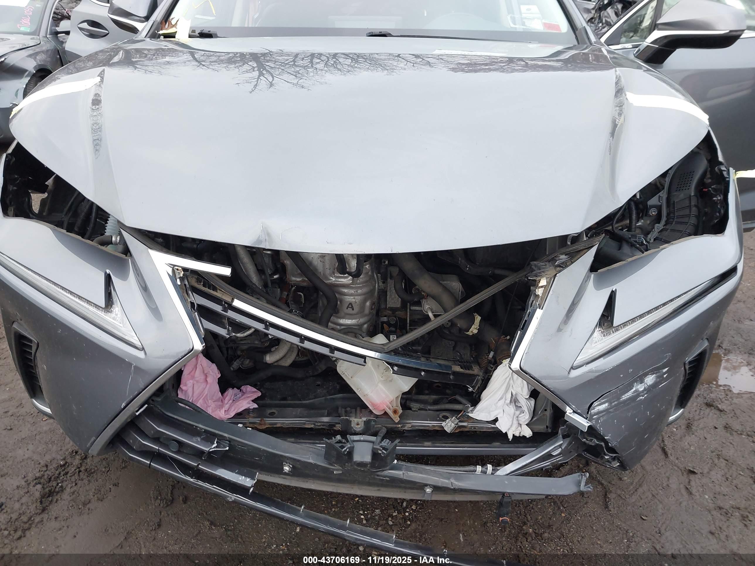 LEXUS NX image 6