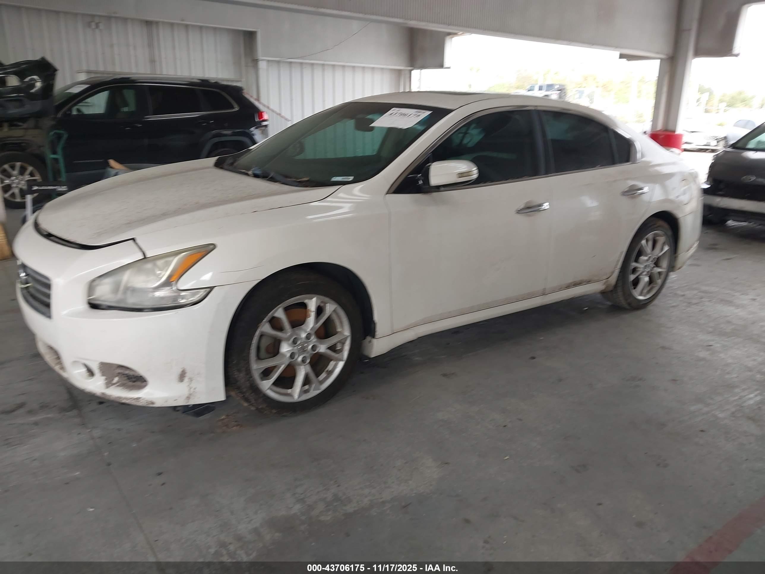 NISSAN MAXIMA image 2