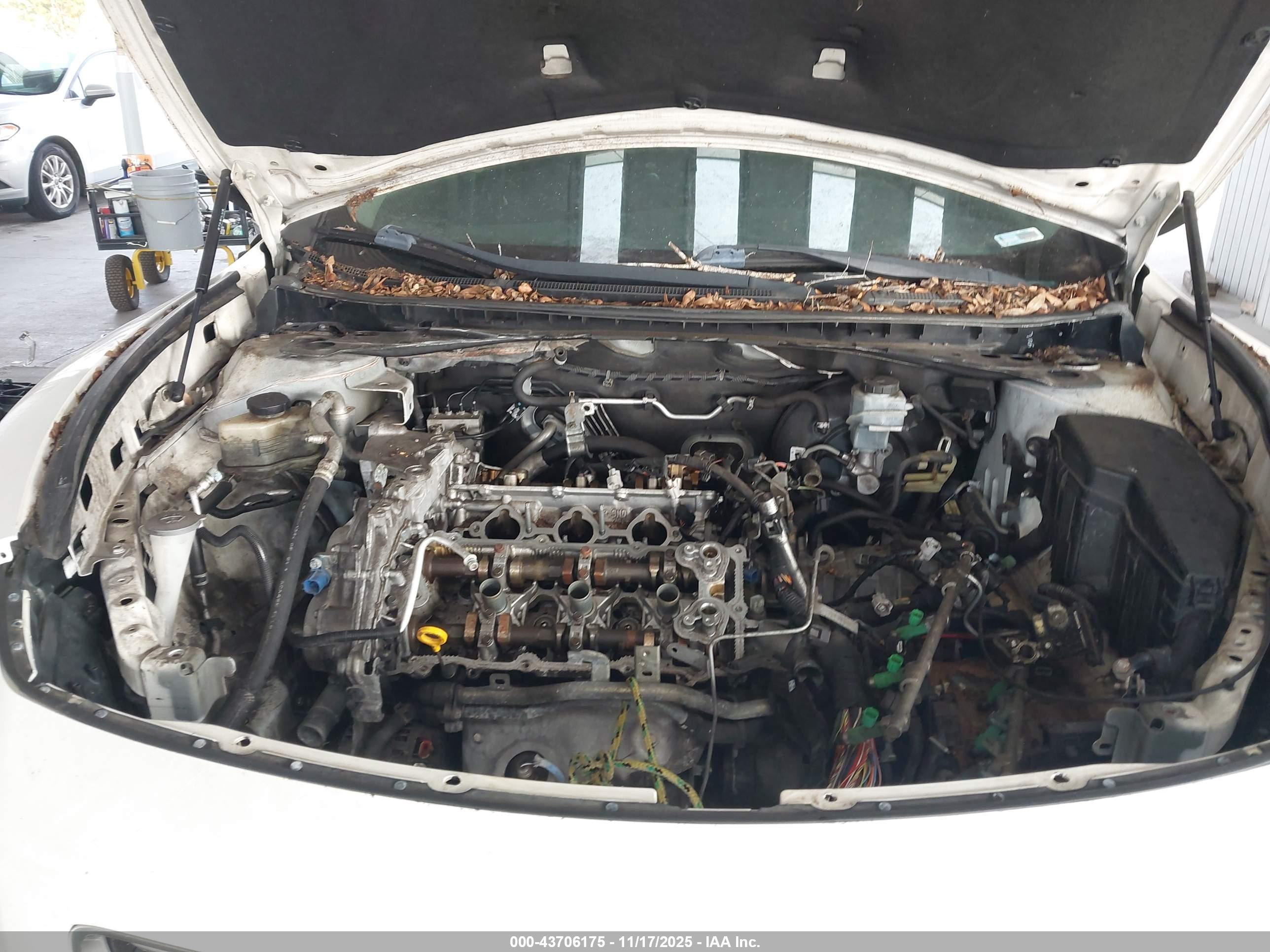 NISSAN MAXIMA image 6