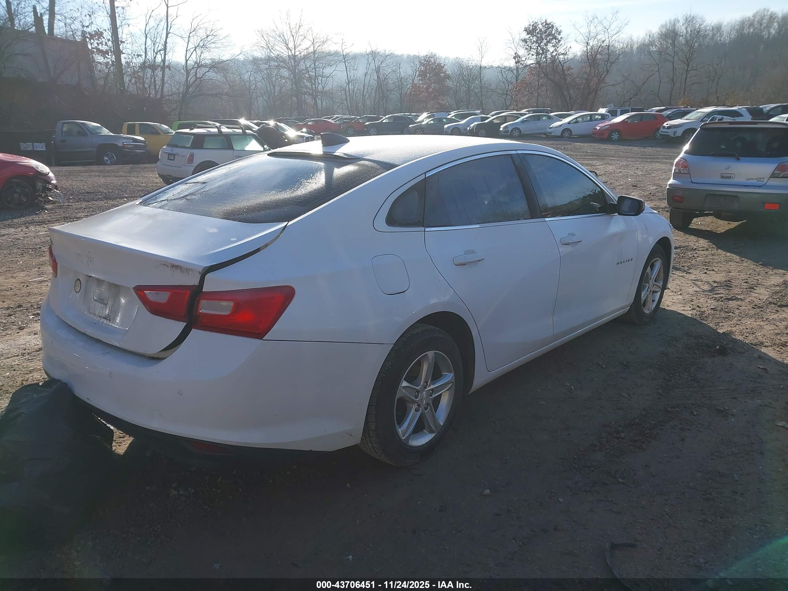 CHEVROLET MALIBU image 4