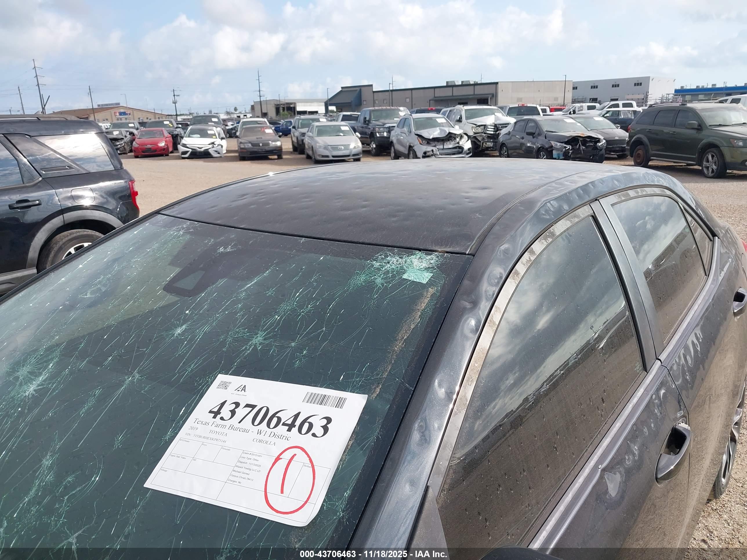 TOYOTA COROLLA image 6