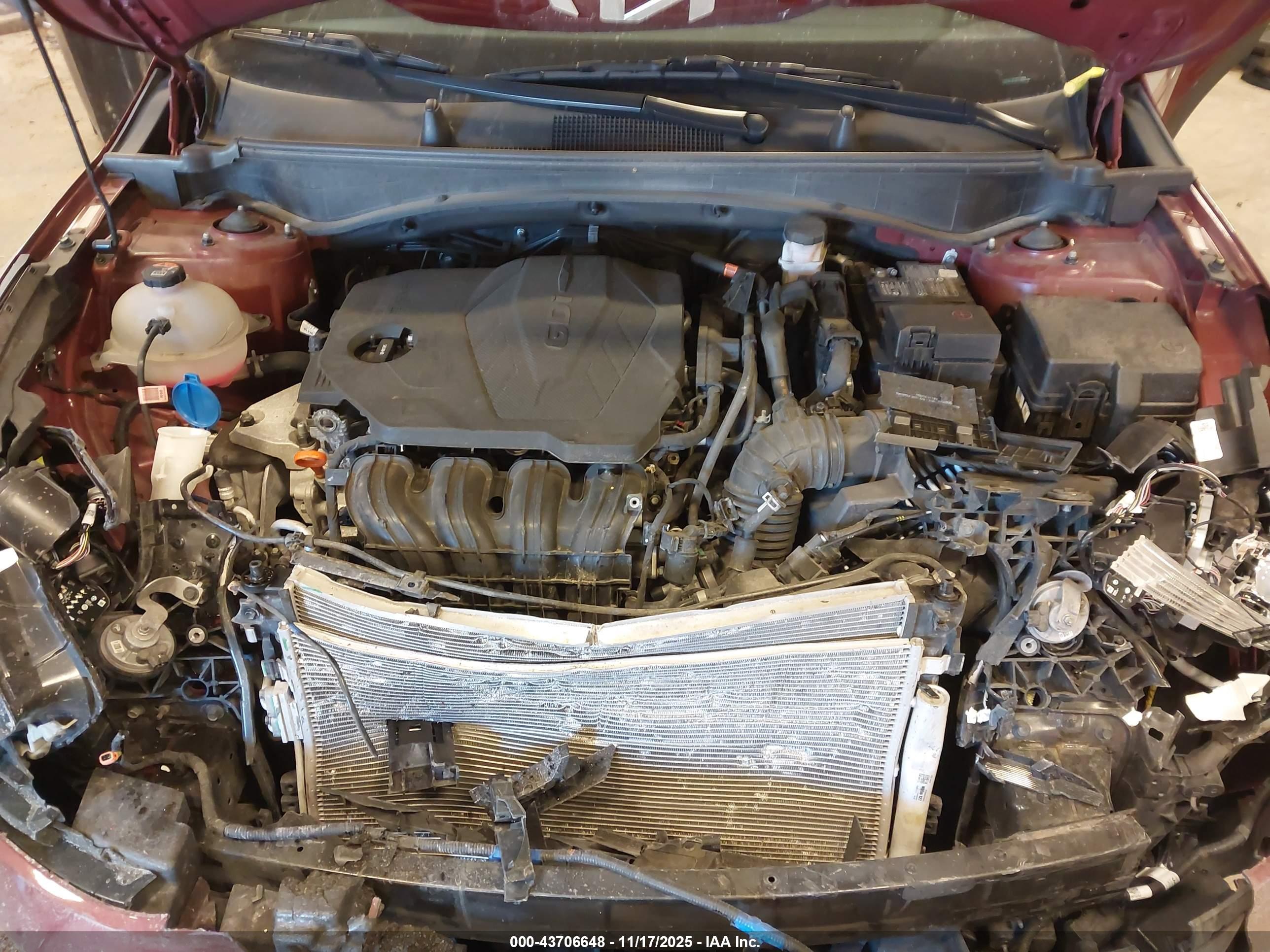 KIA SPORTAGE image 10