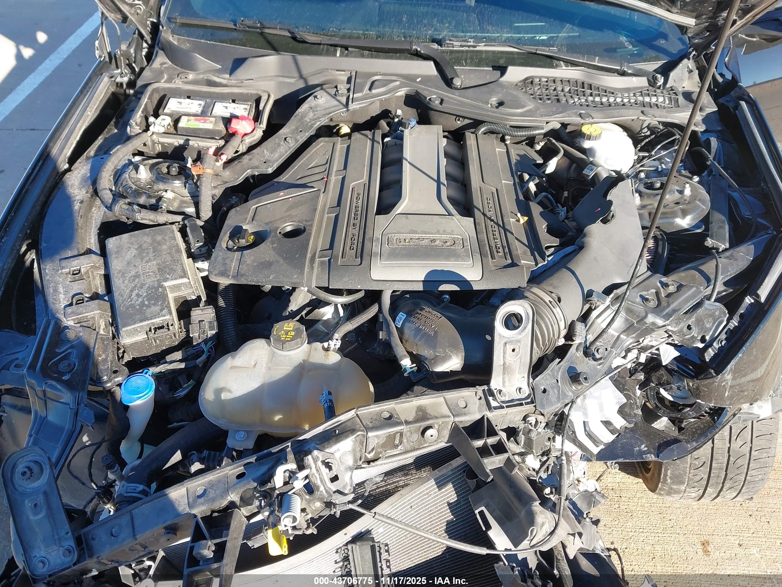 FORD MUSTANG image 10