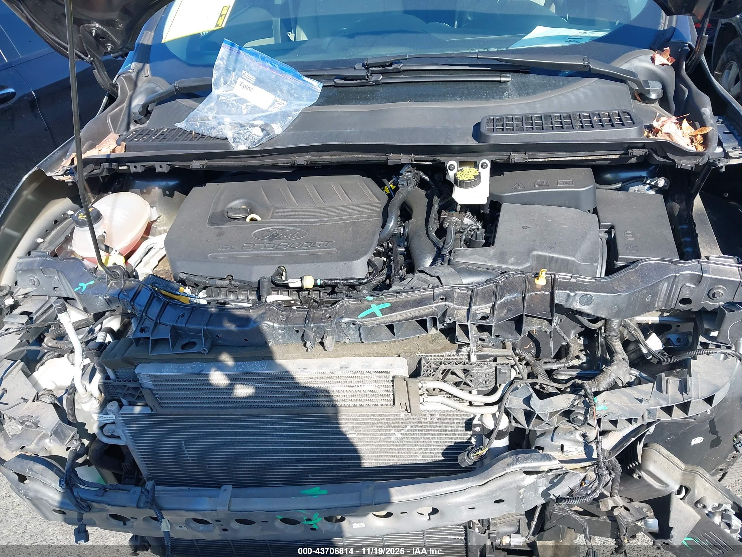 FORD ESCAPE image 10