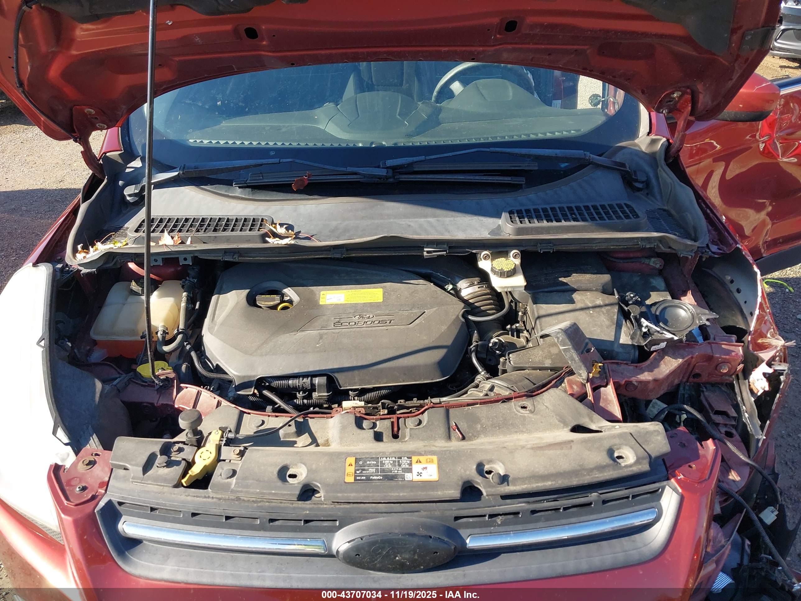 FORD ESCAPE image 10
