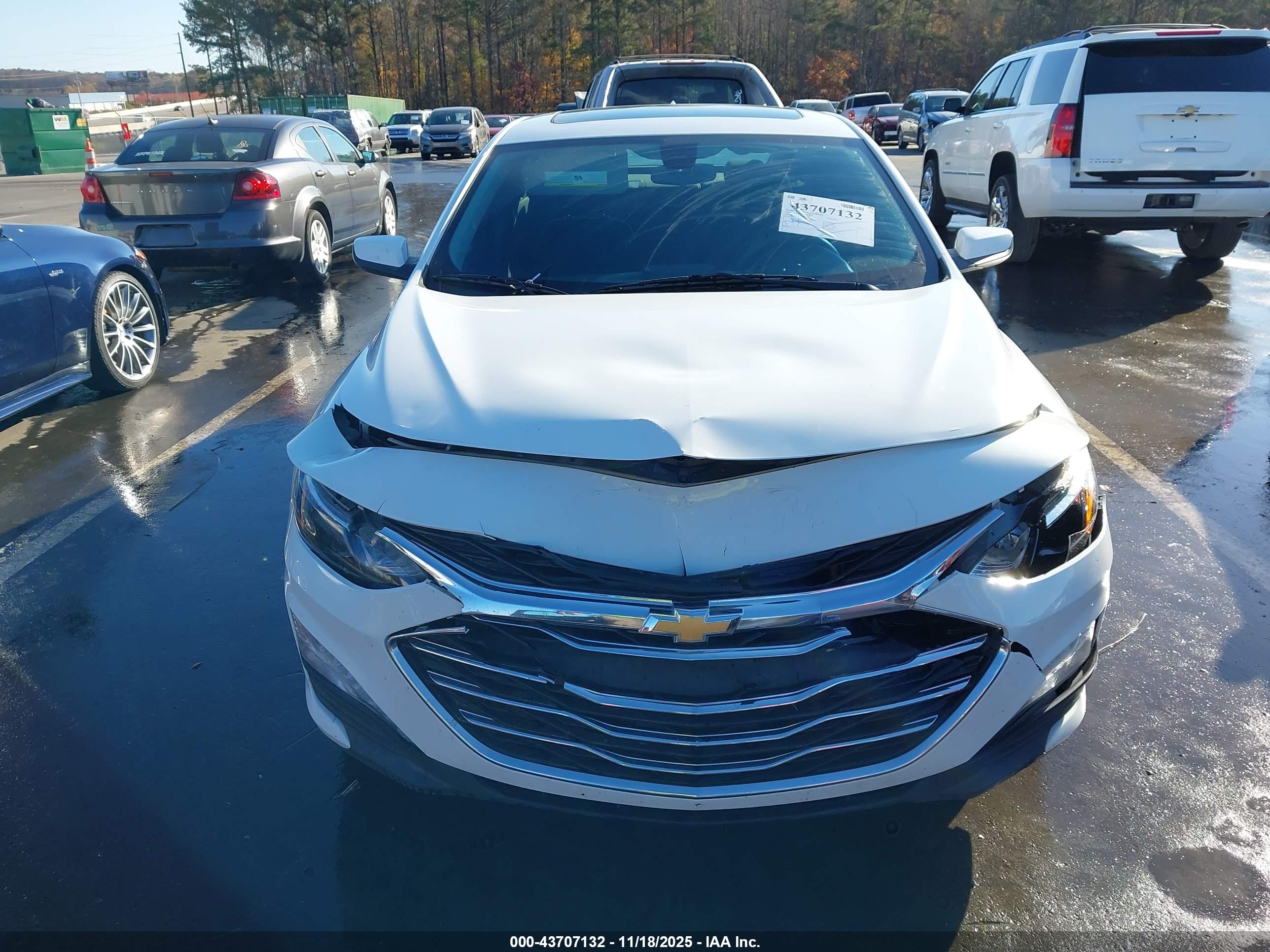 CHEVROLET MALIBU image 6