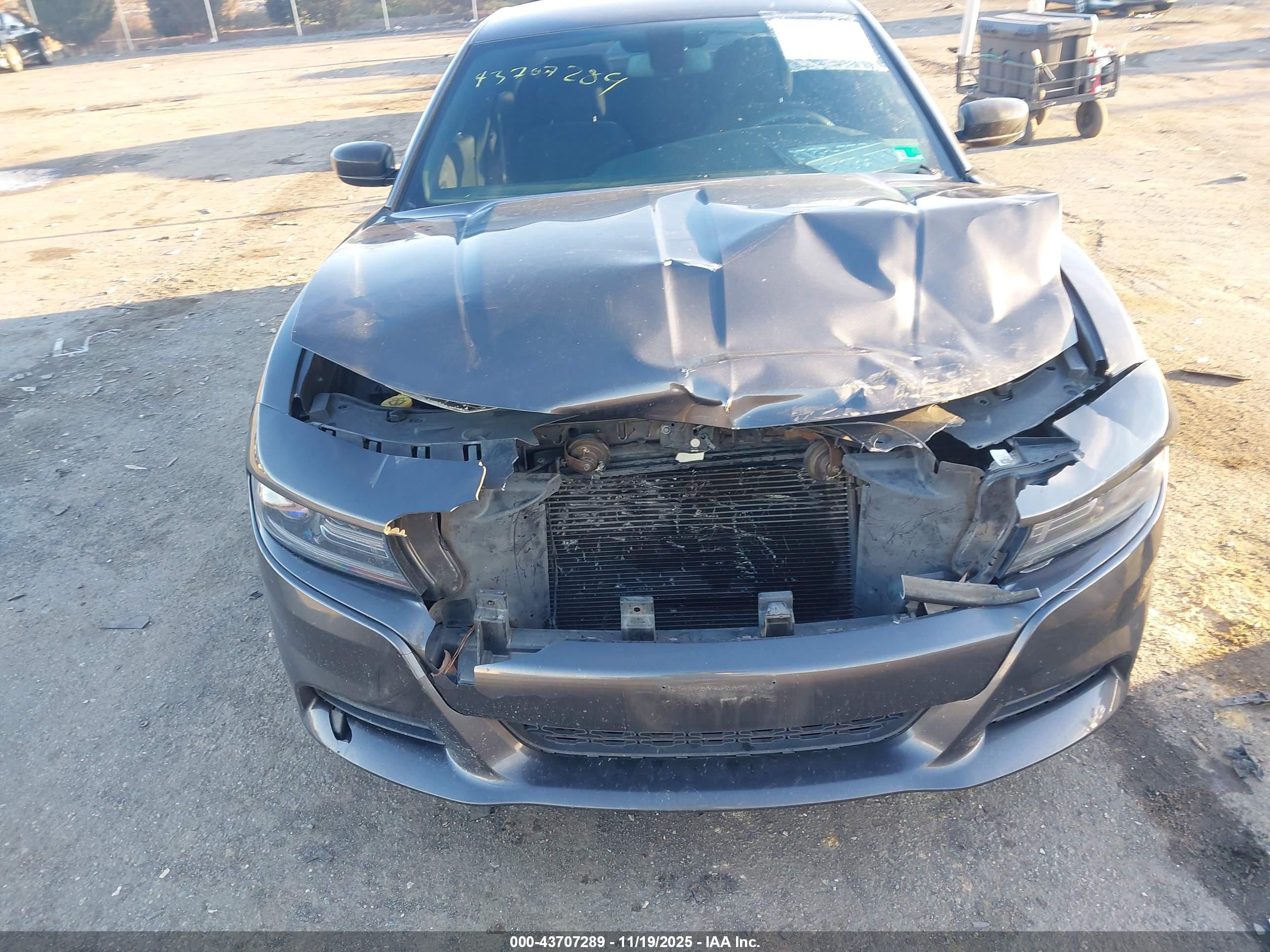 DODGE CHARGER image 6