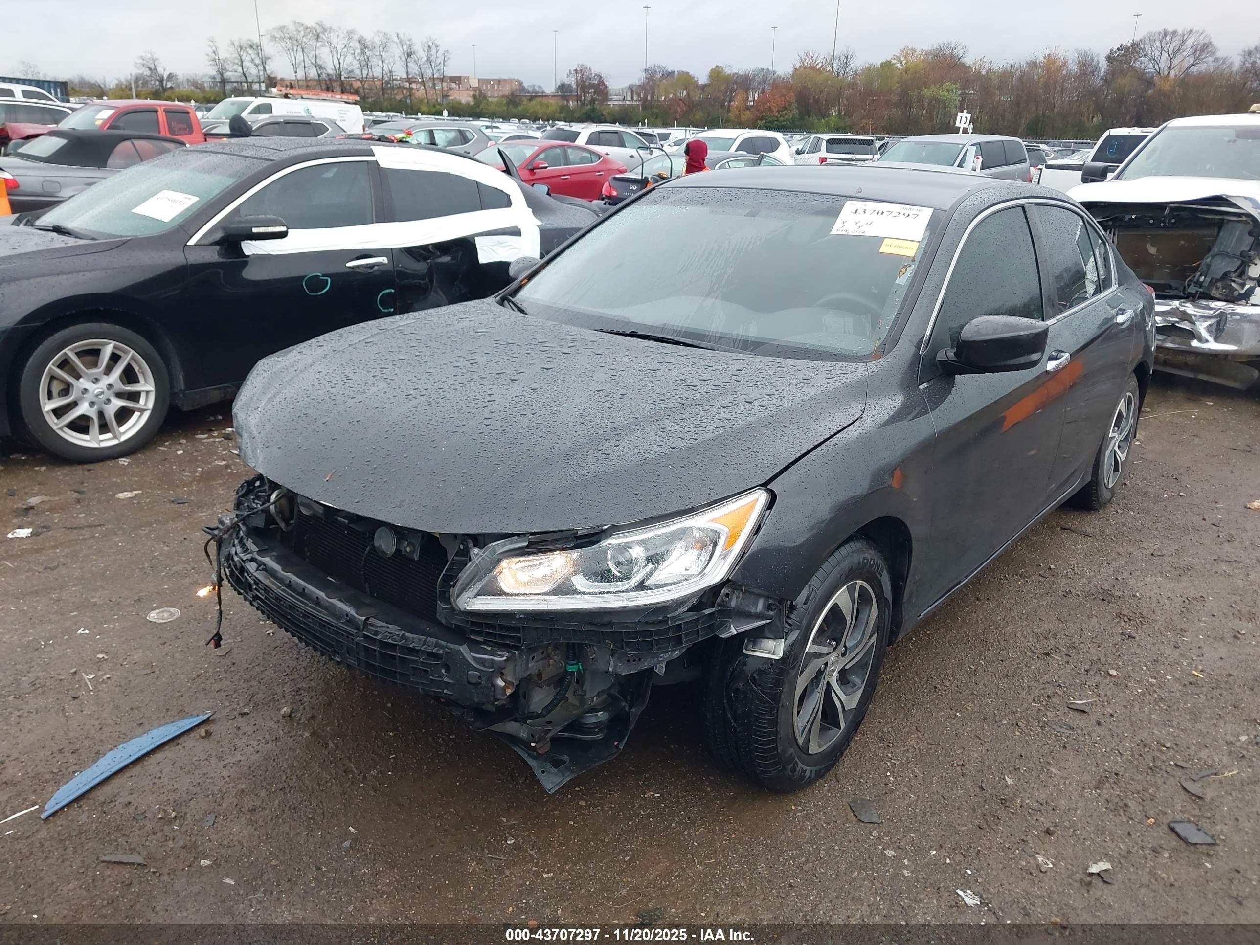 HONDA ACCORD image 2