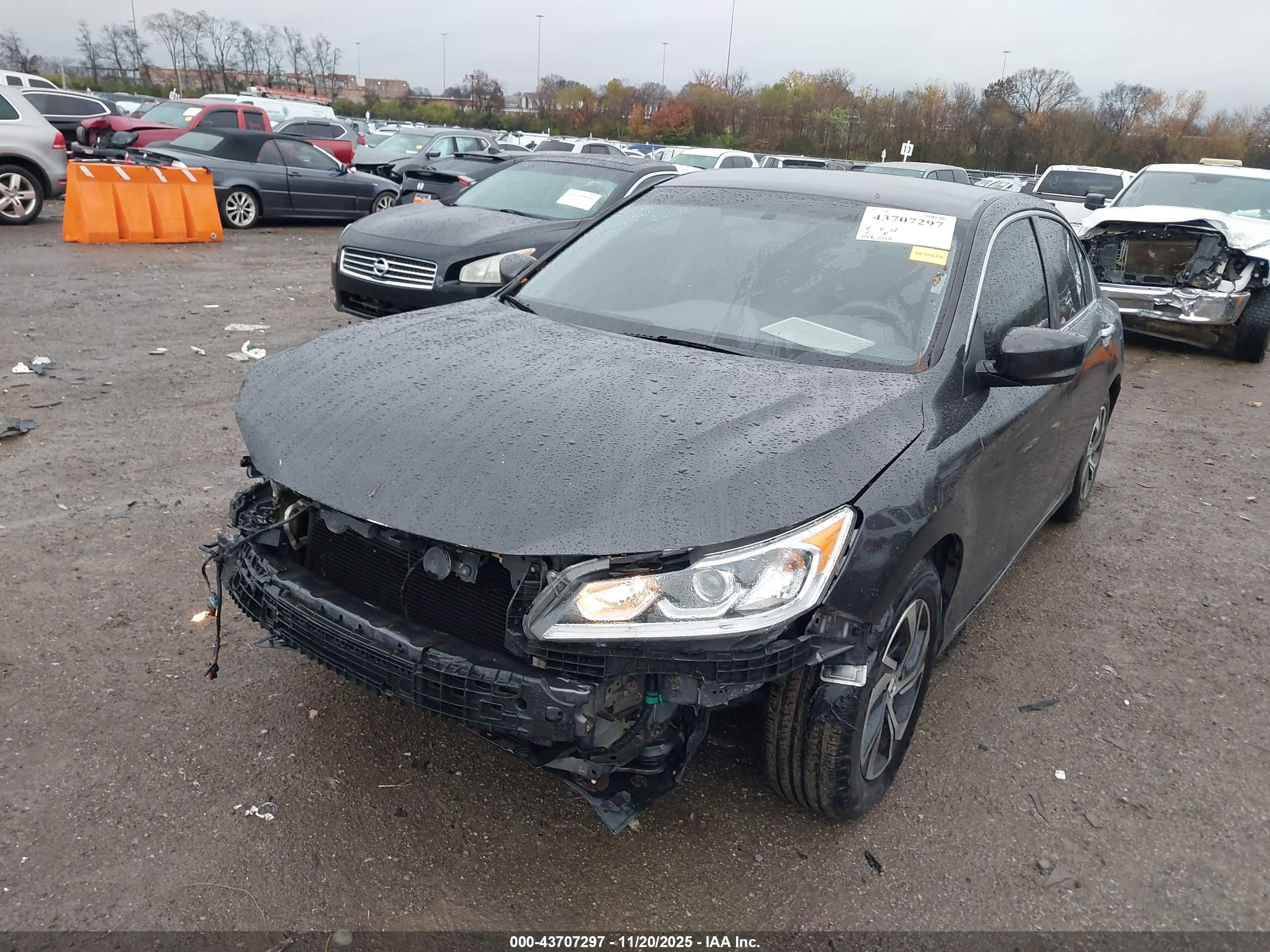 HONDA ACCORD image 6