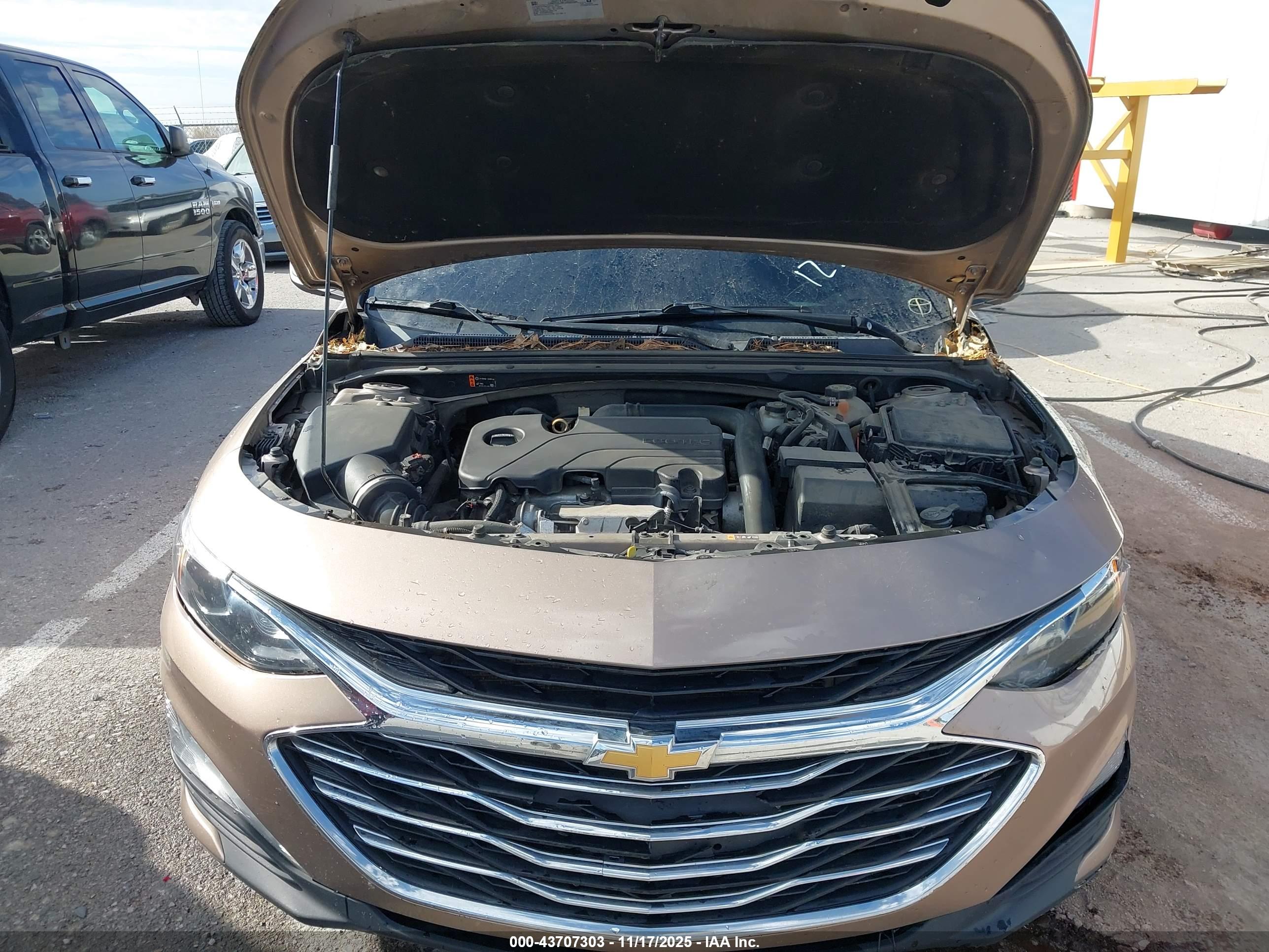 CHEVROLET MALIBU image 10