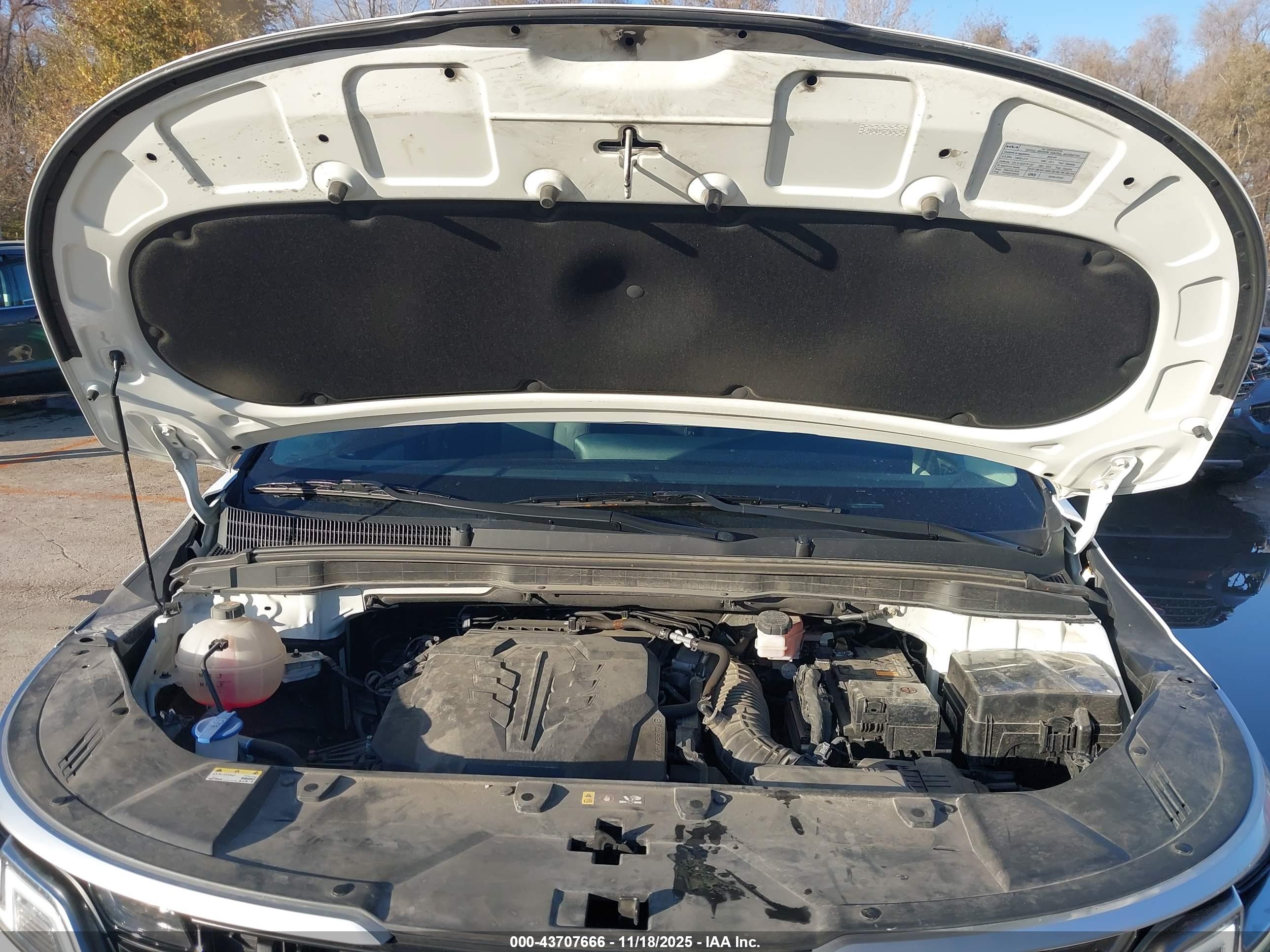 KIA CARNIVAL image 10