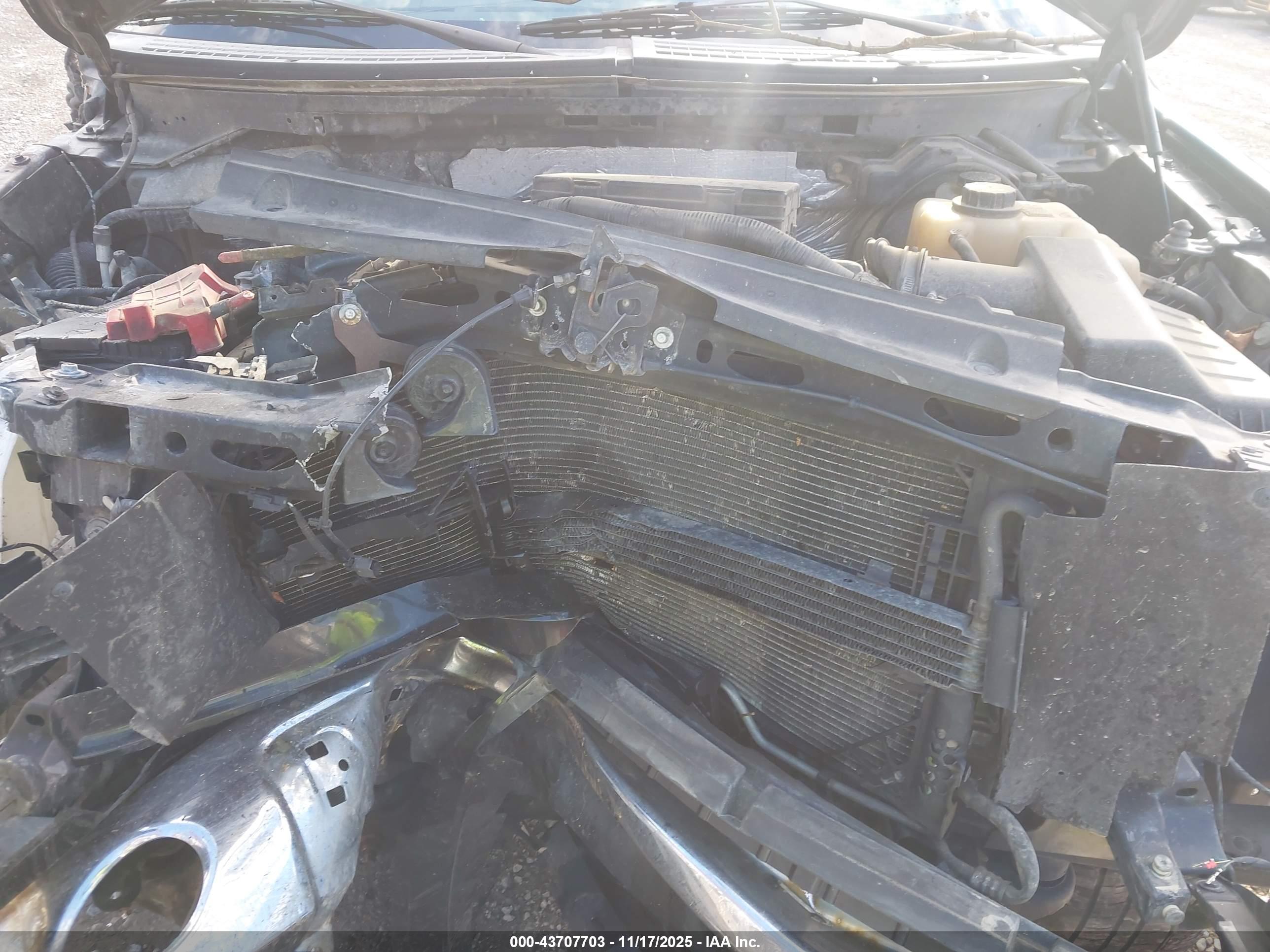 FORD F-150 image 10