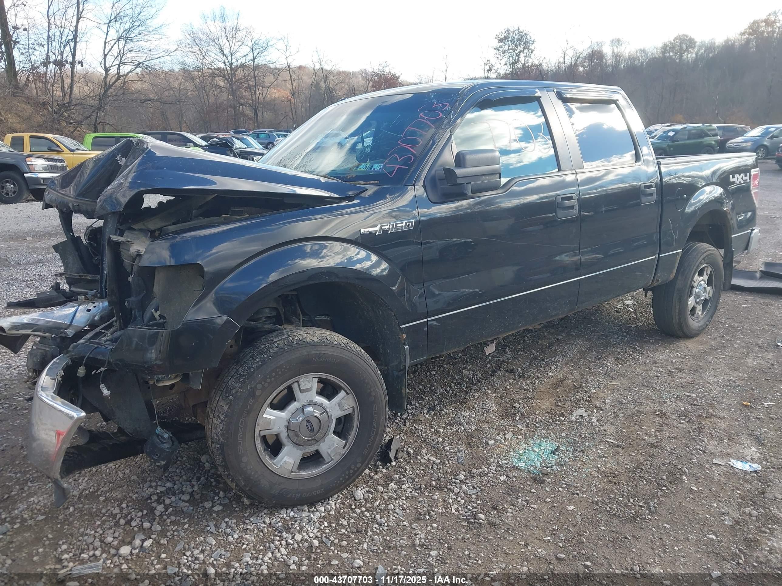 FORD F-150 image 2