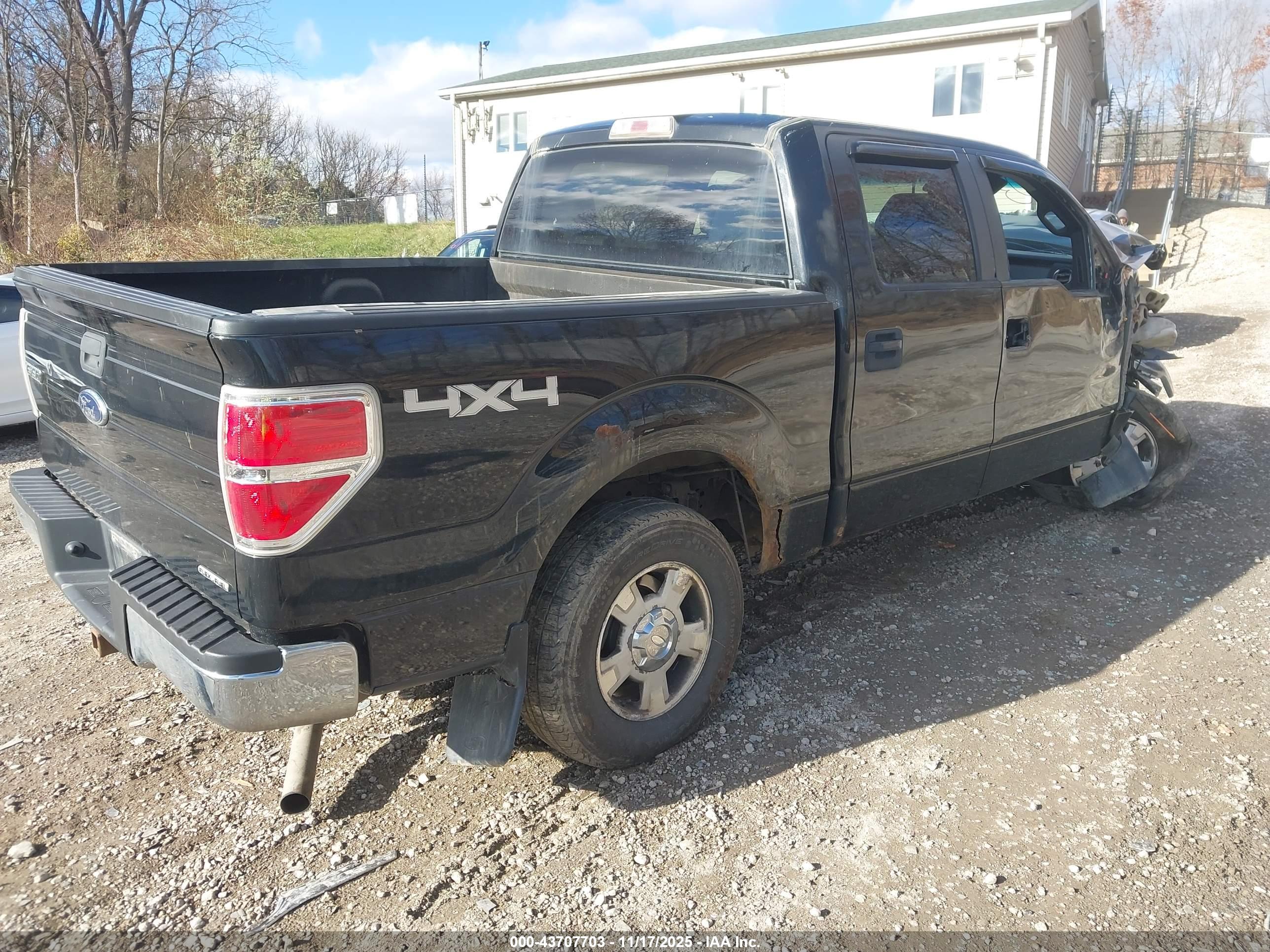 FORD F-150 image 4