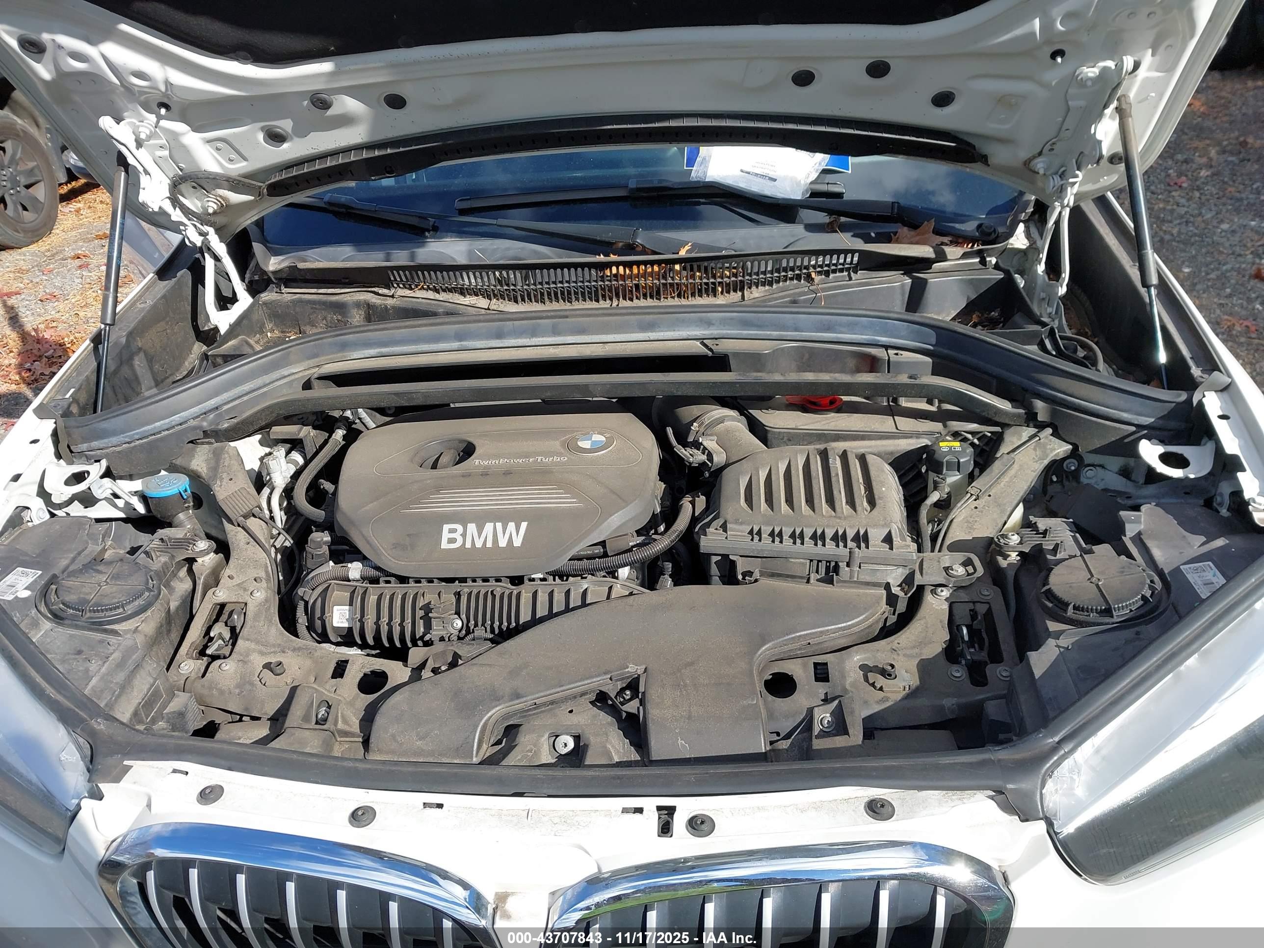 BMW X1 image 10