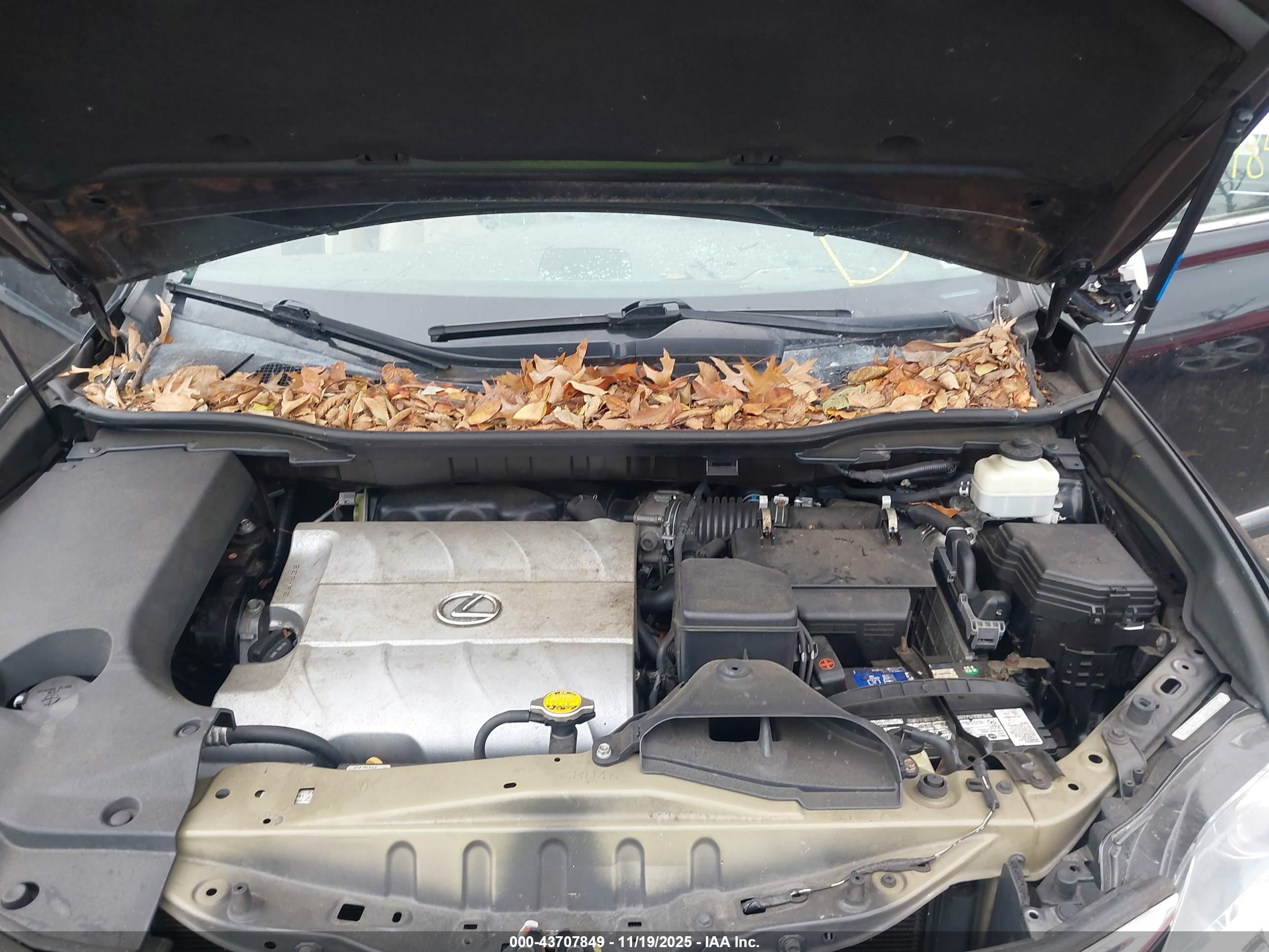 LEXUS RX image 10