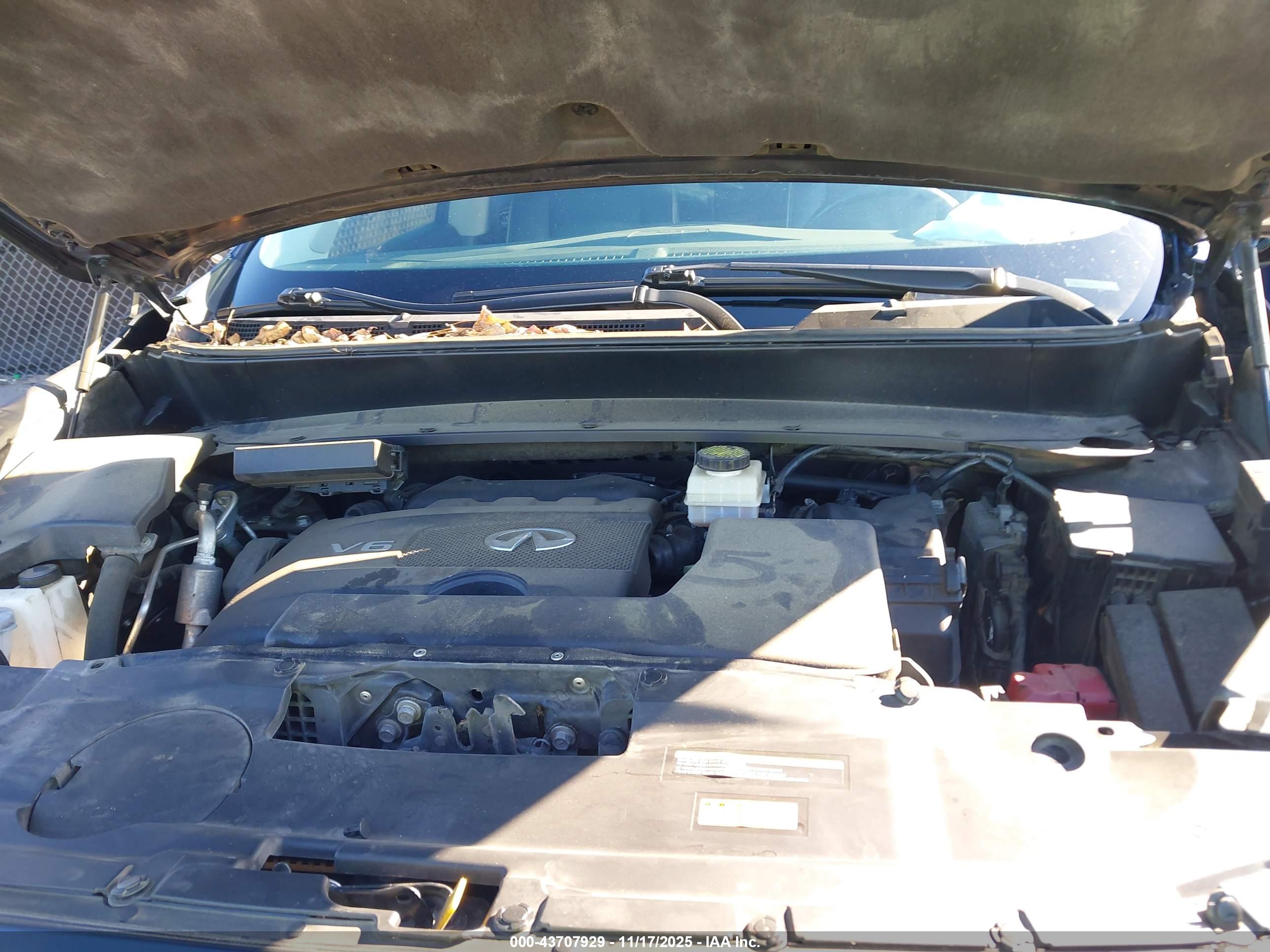 INFINITI QX60 image 10