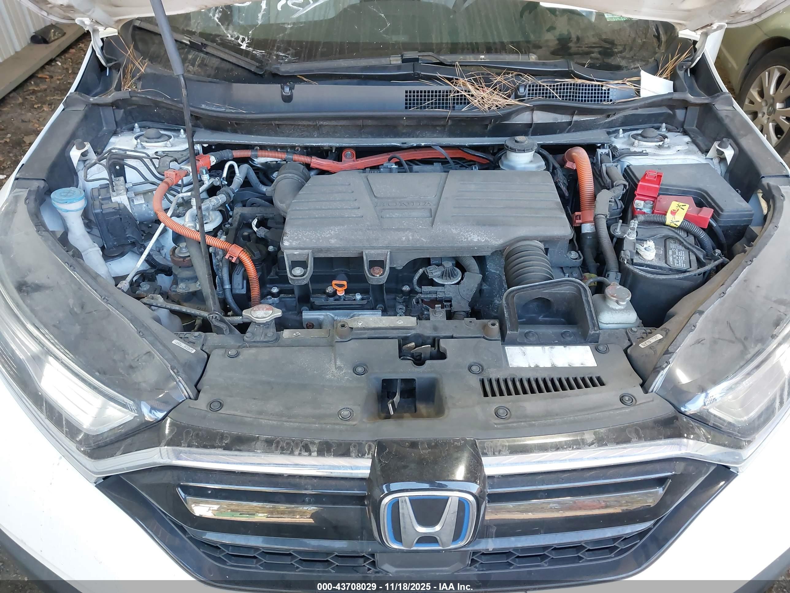 HONDA CR-V image 10