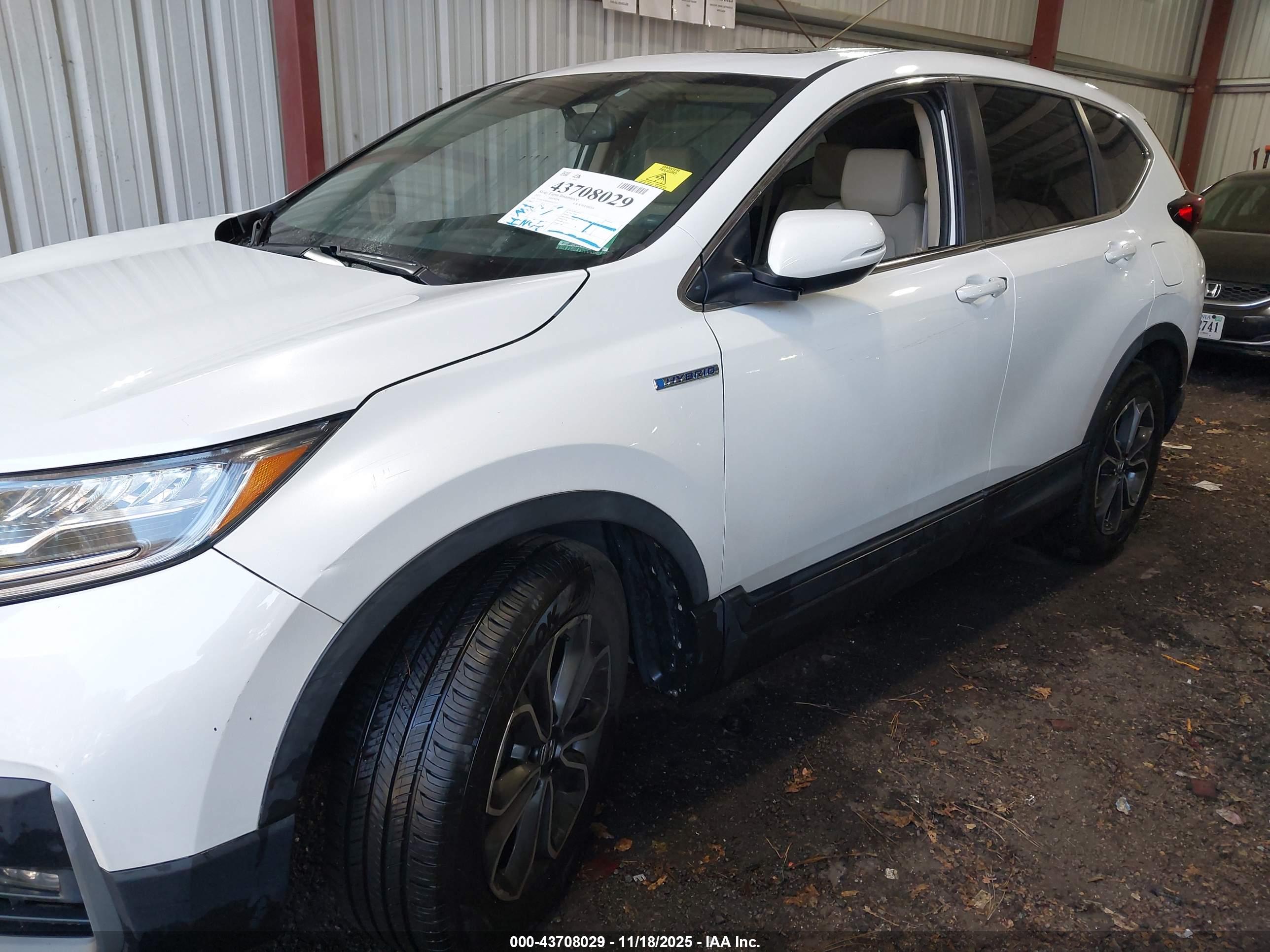 HONDA CR-V image 6