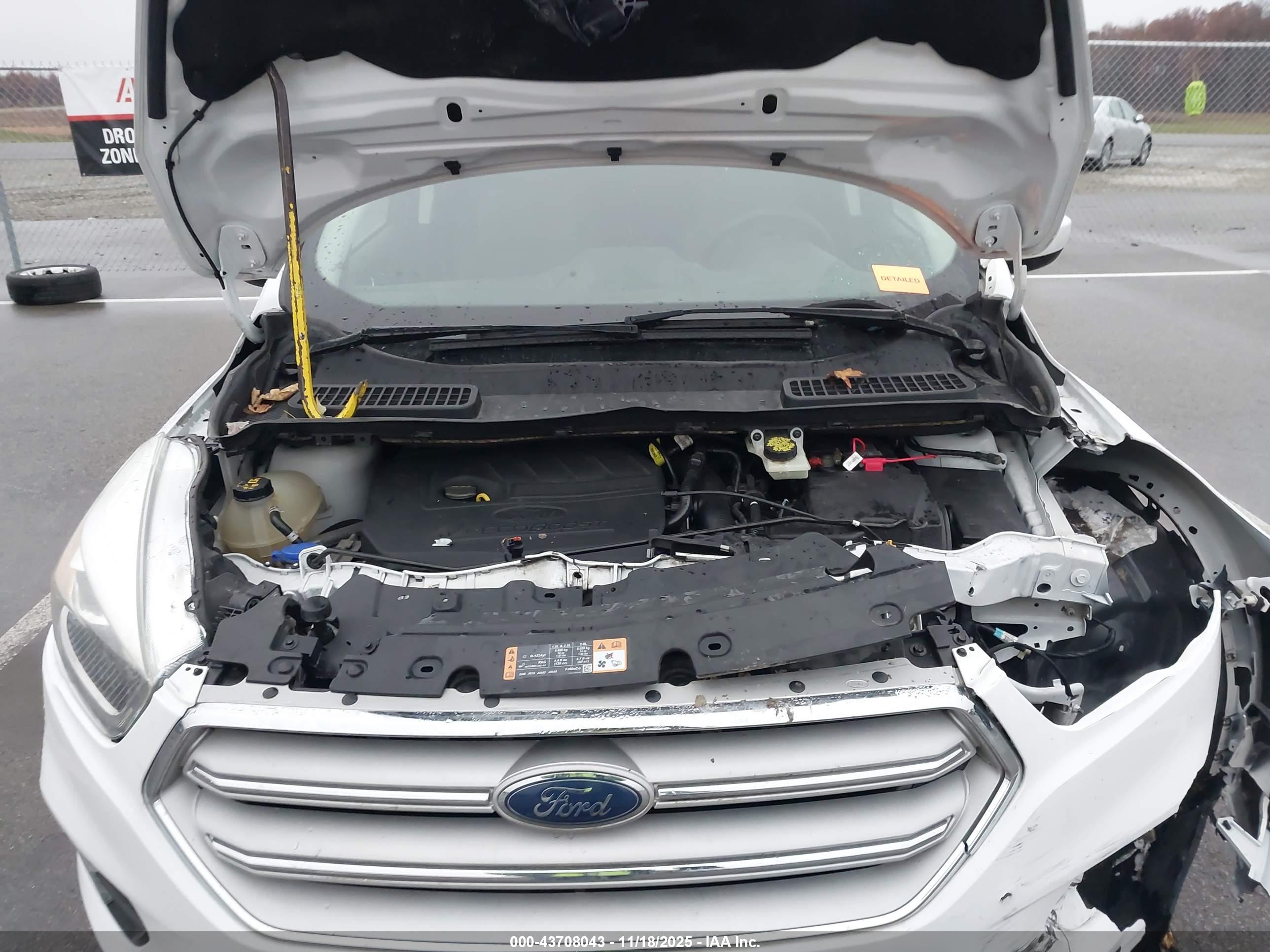 FORD ESCAPE image 10