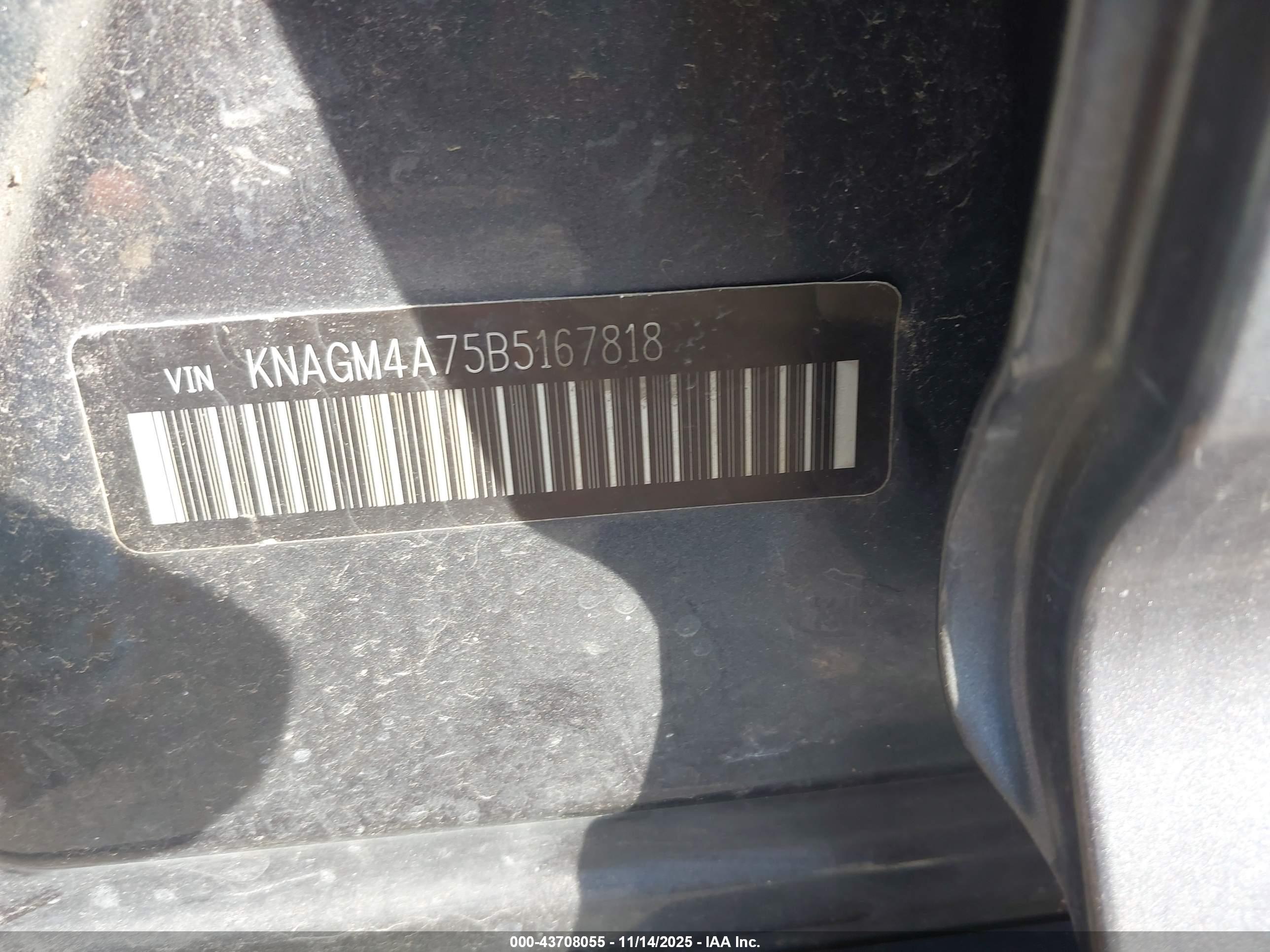 KIA OPTIMA image 9