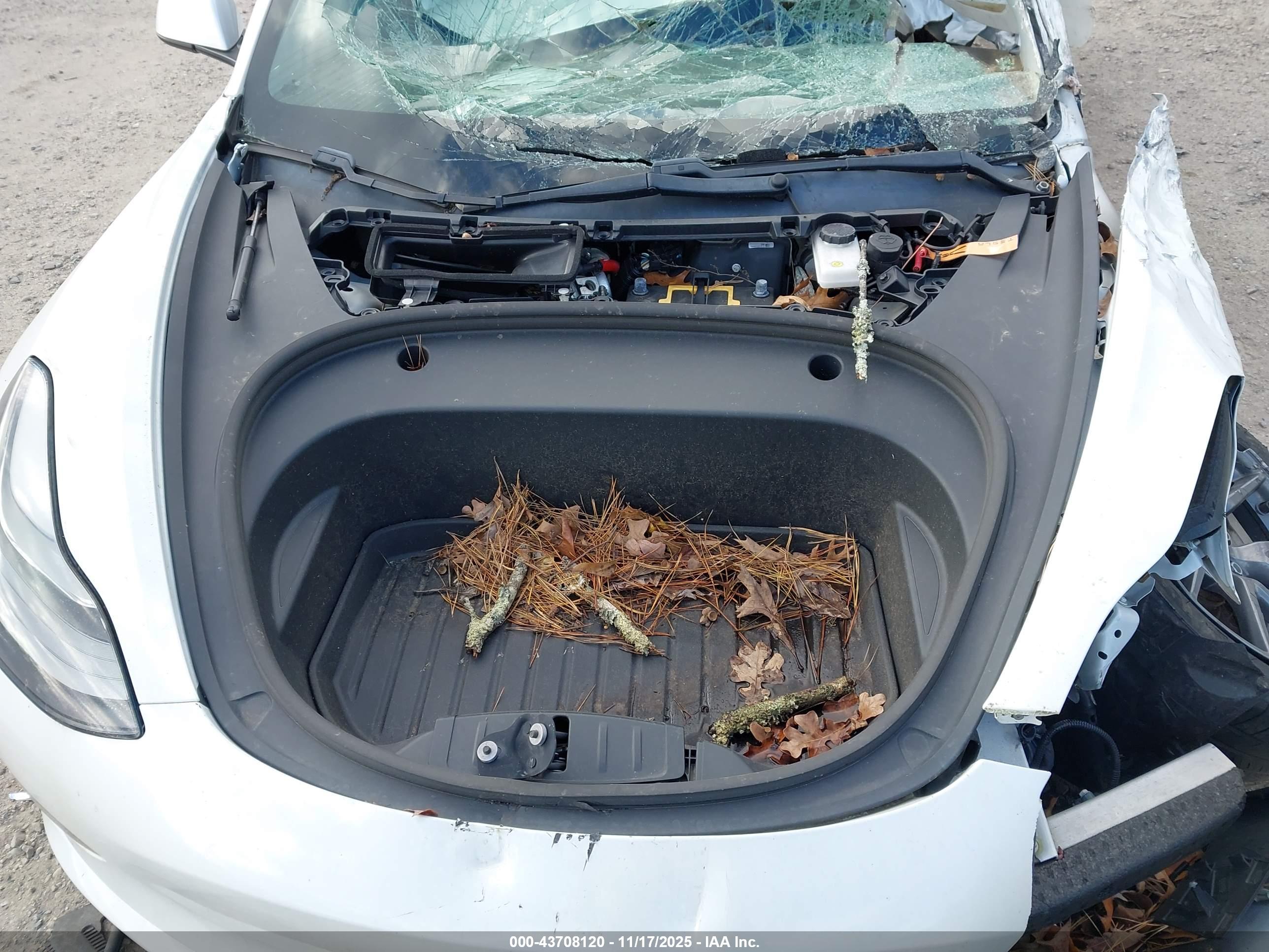 TESLA MODEL image 10