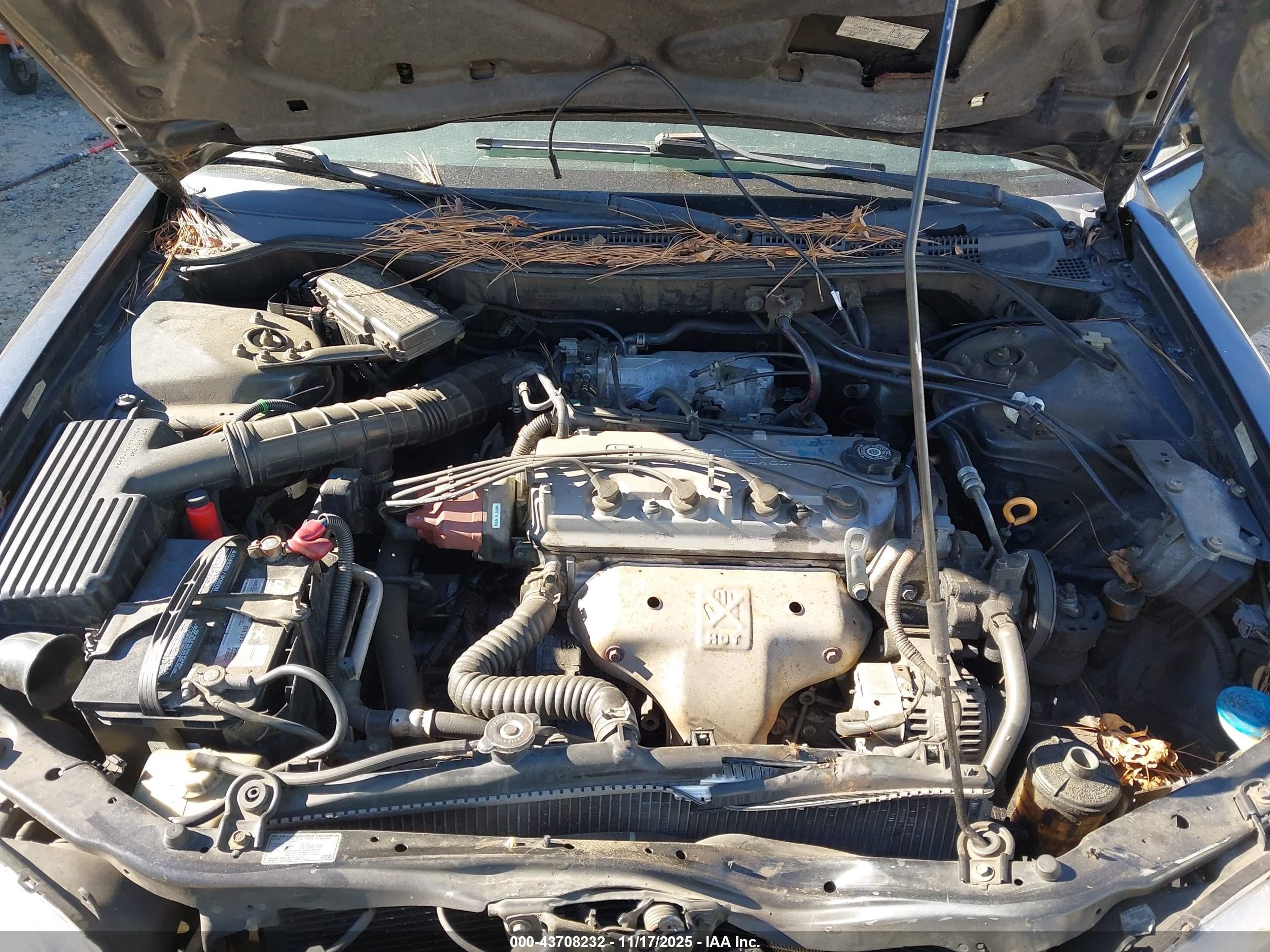 HONDA ACCORD image 10
