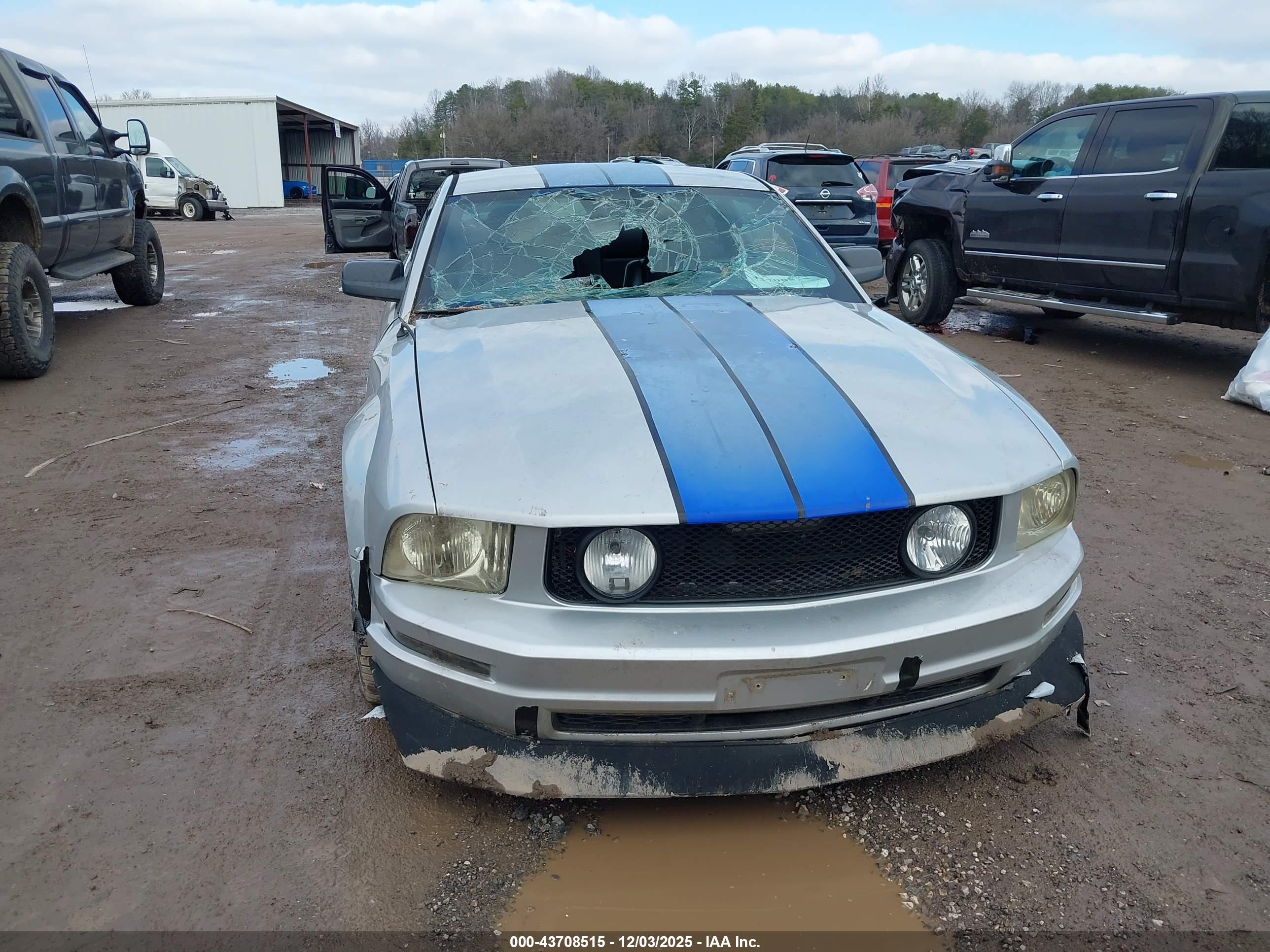 FORD MUSTANG image 6