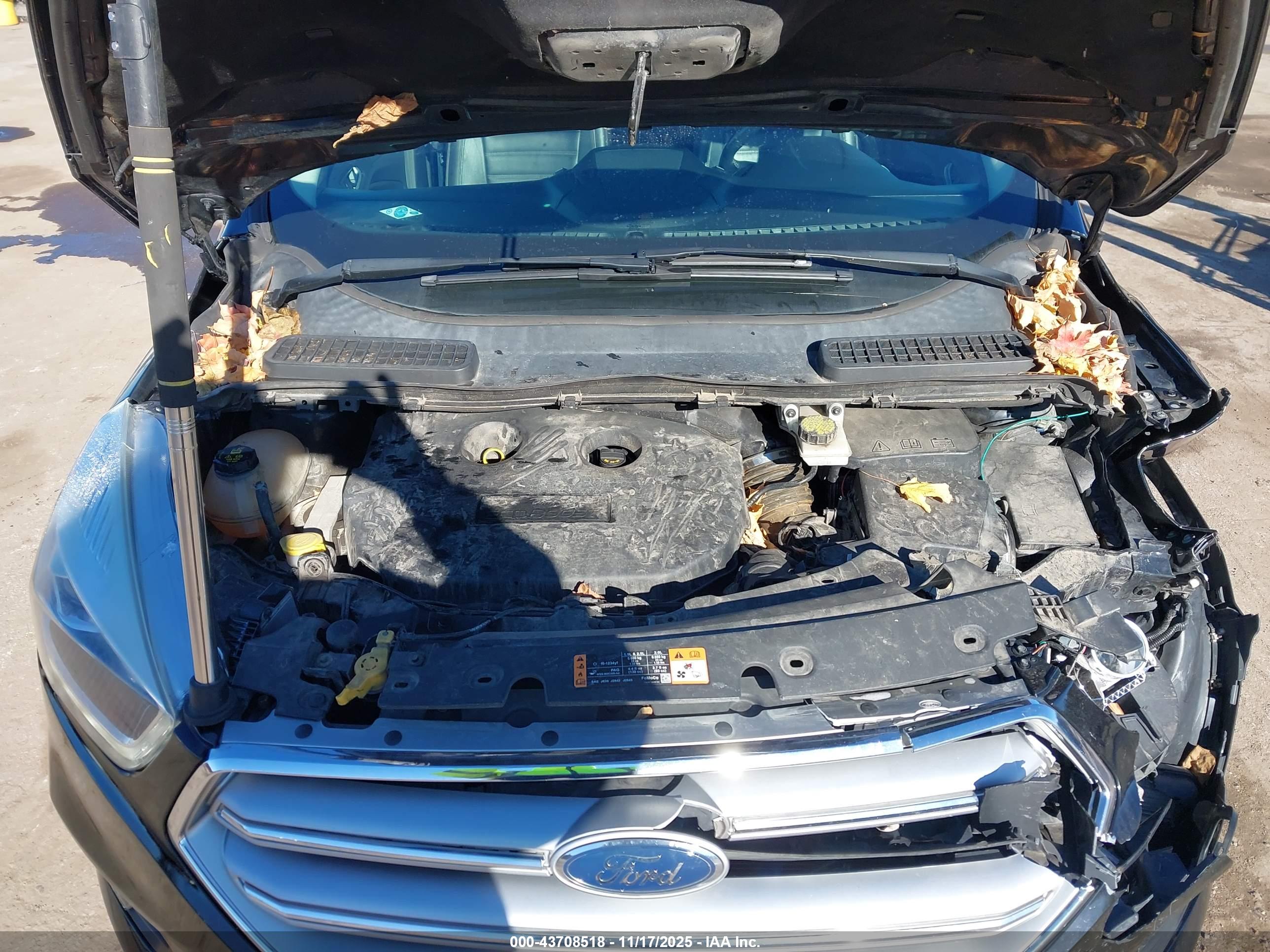 FORD ESCAPE image 10