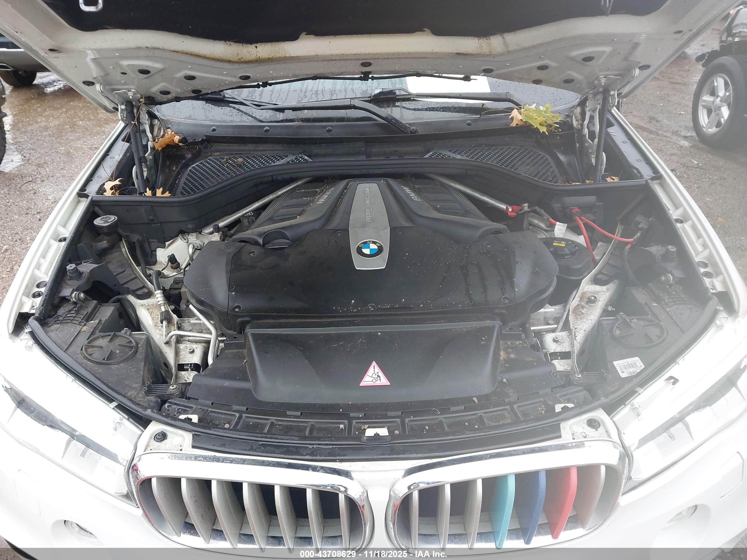 BMW X5 image 10