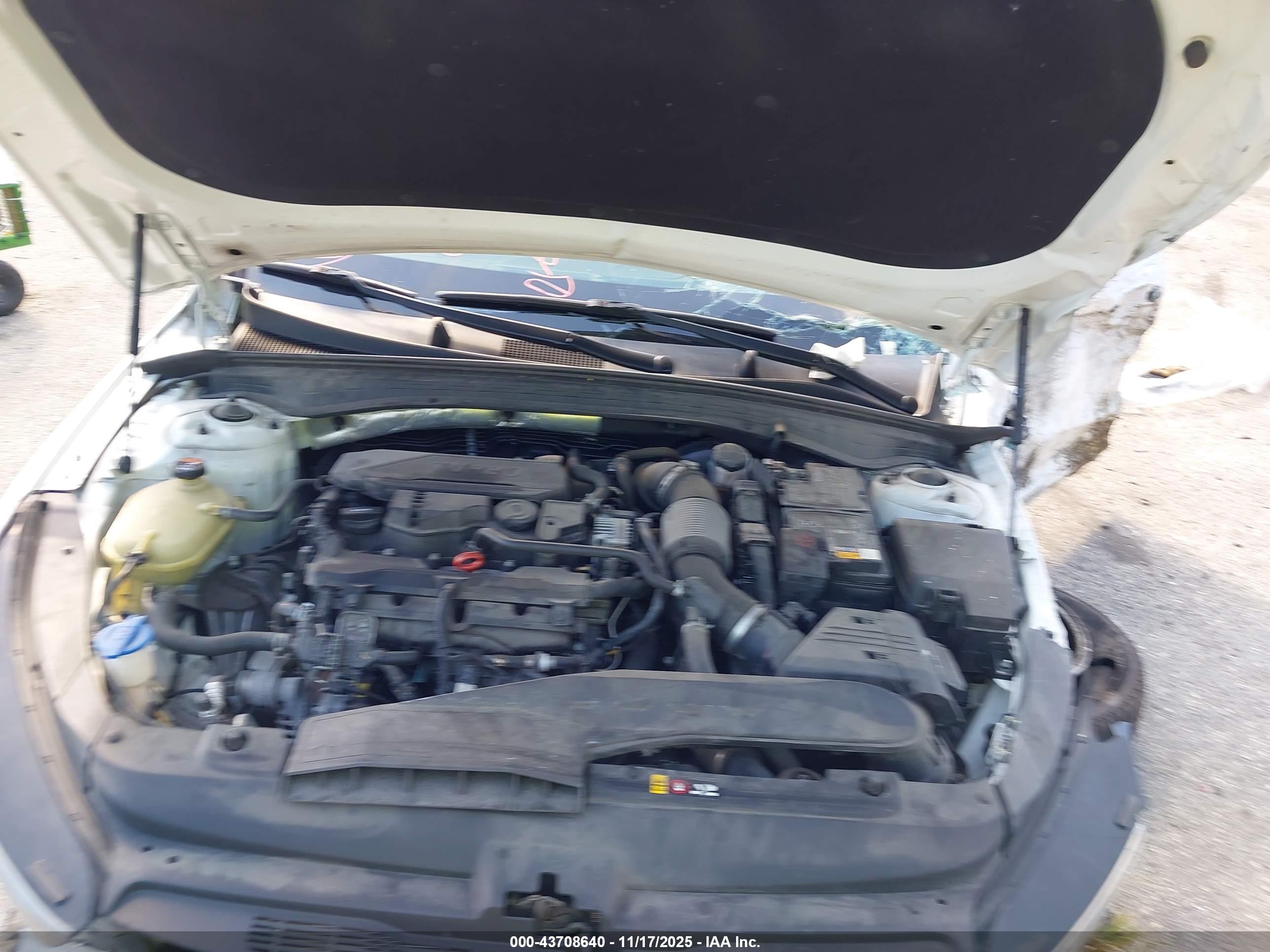 KIA K5 image 10