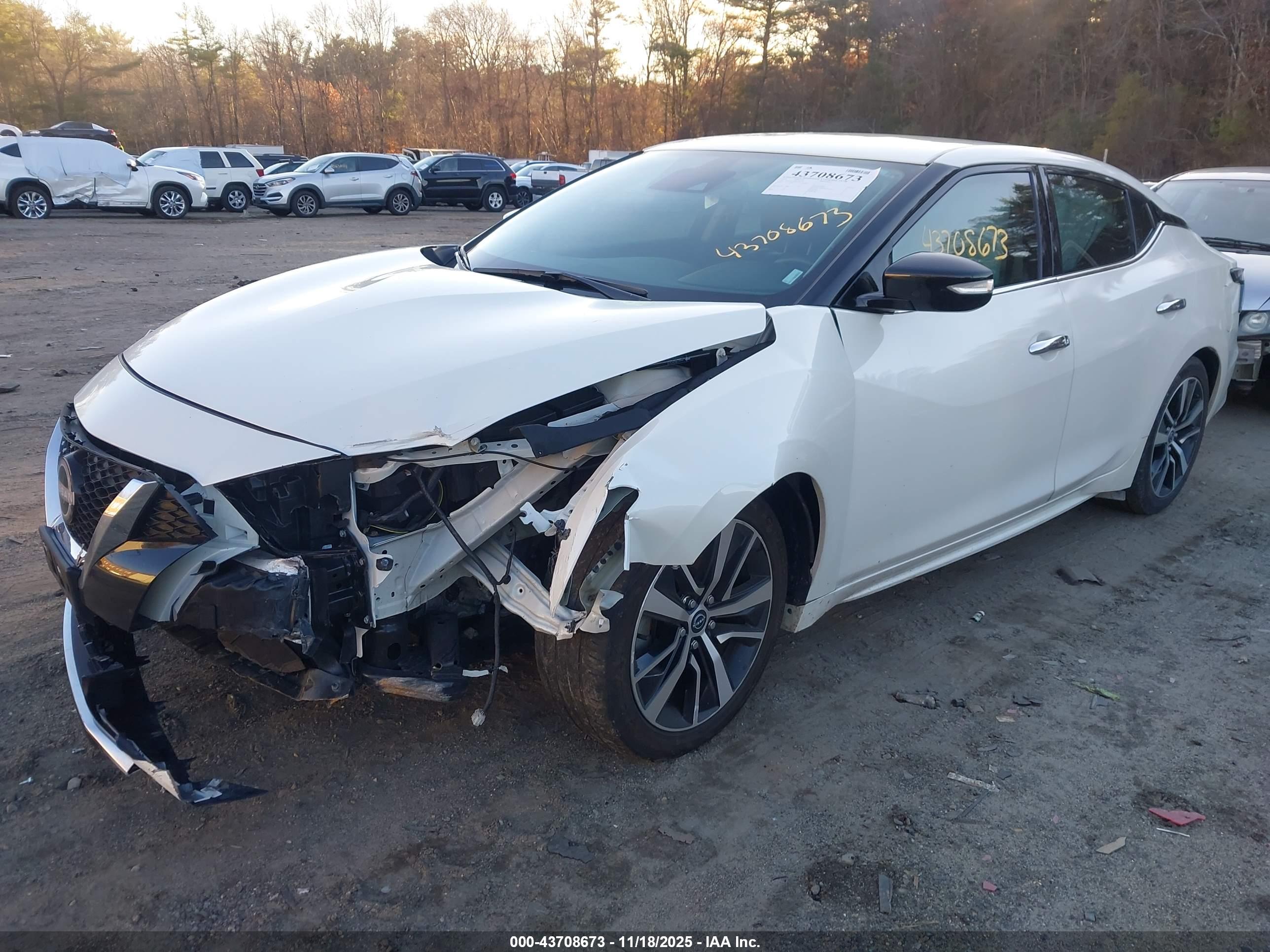 NISSAN MAXIMA image 2