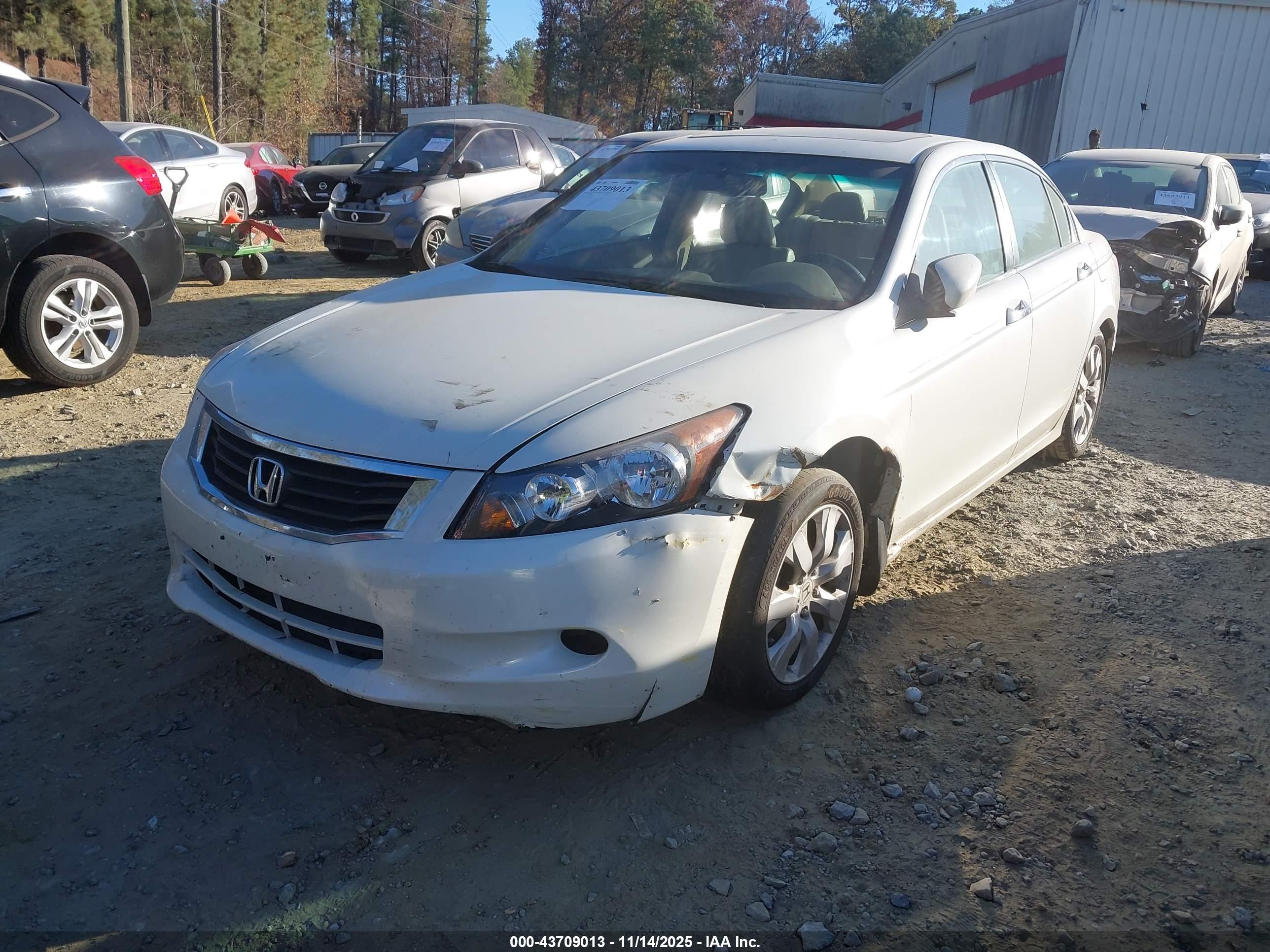 HONDA ACCORD image 2