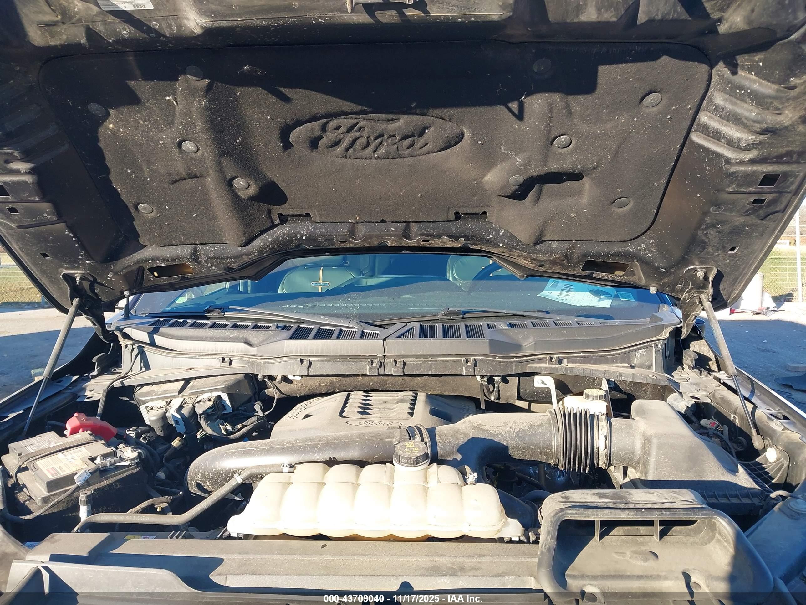 FORD F-150 image 10