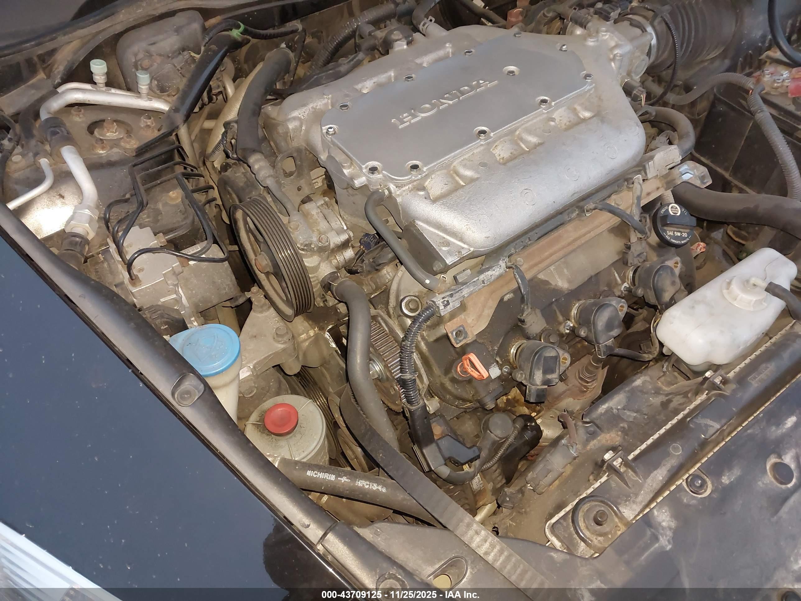 HONDA ACCORD image 6