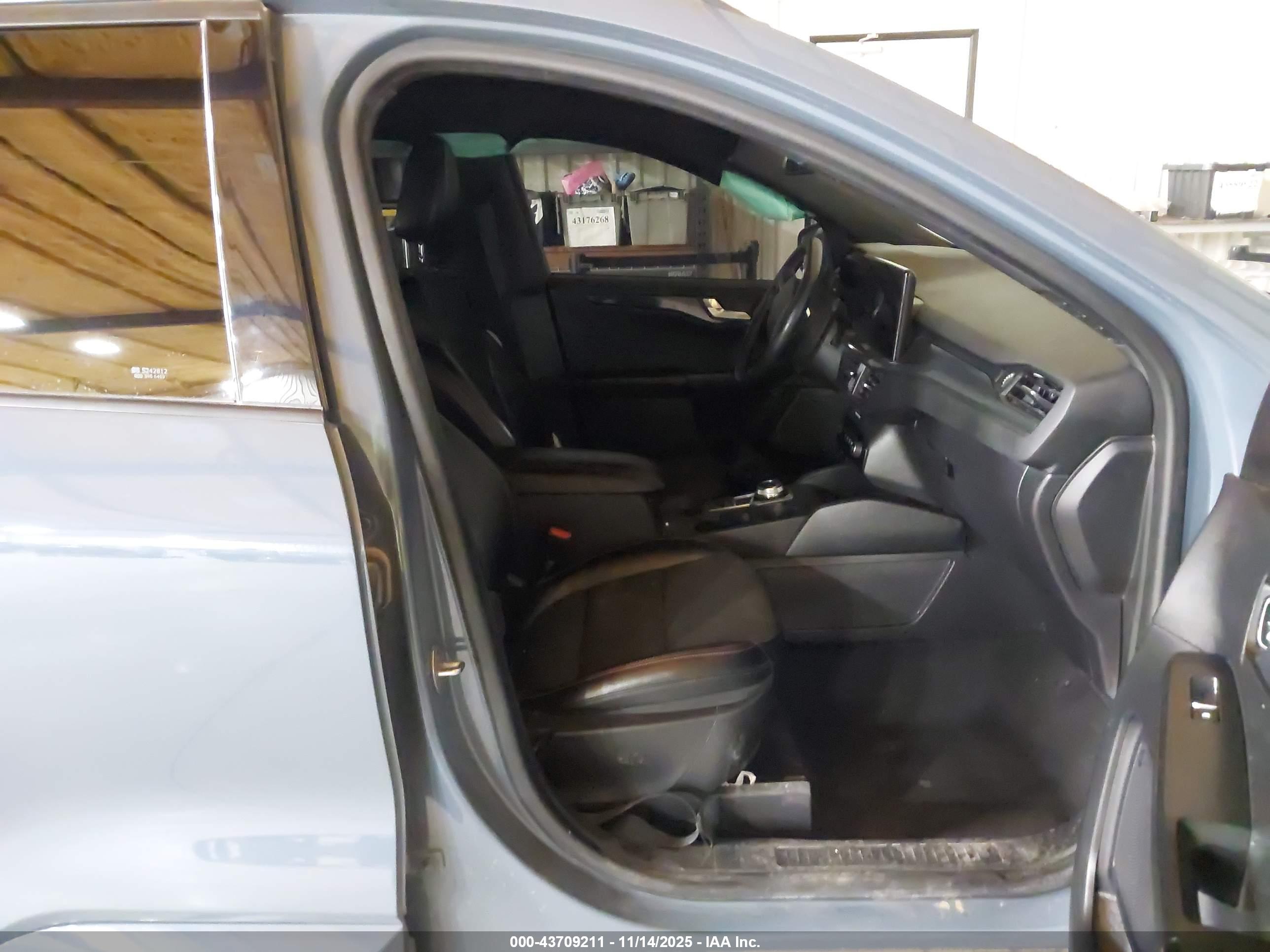 FORD ESCAPE image 5