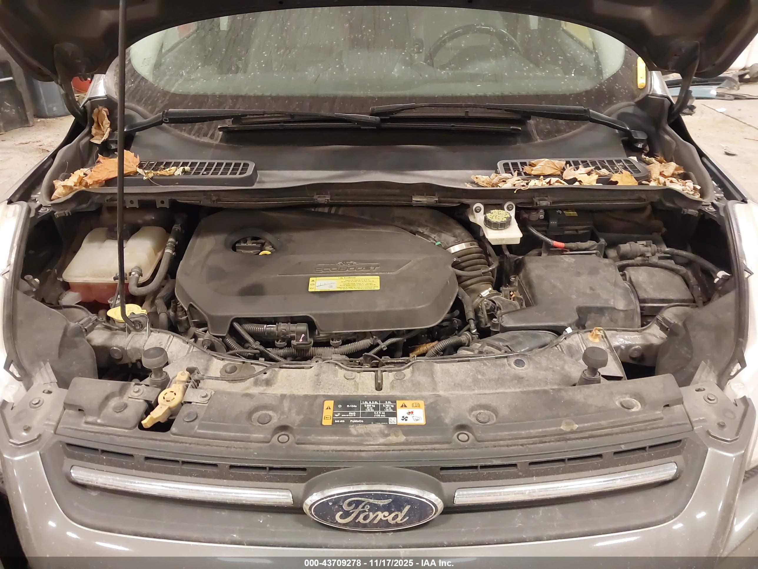 FORD ESCAPE image 10