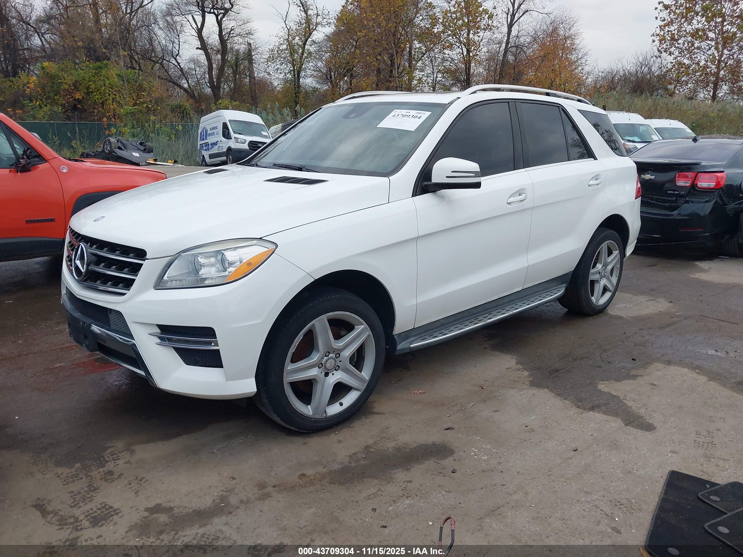 MERCEDES-BENZ ML image 2
